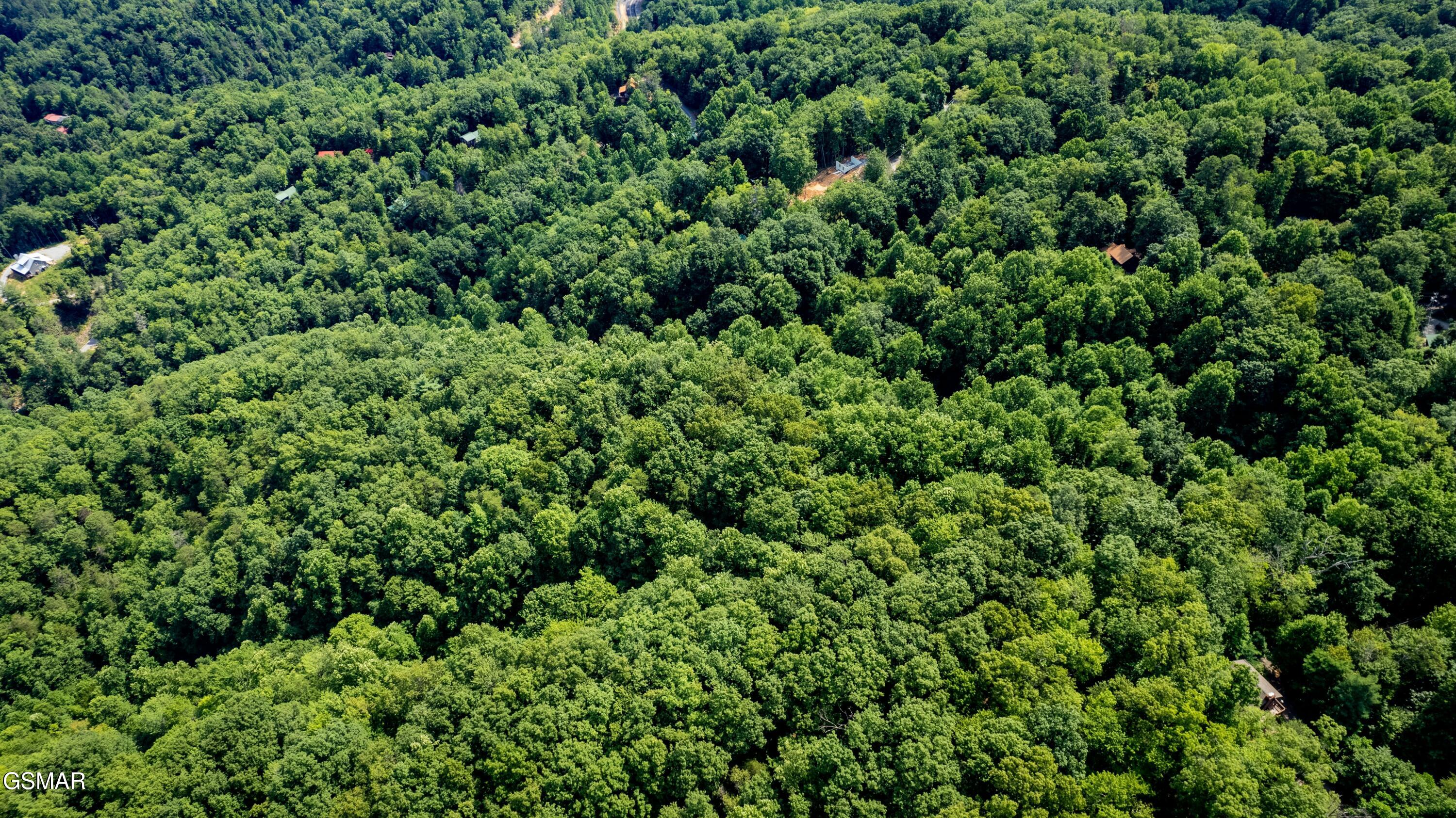 Tract 3-5 Wilson Hollow Way Sevierville TN 37876
