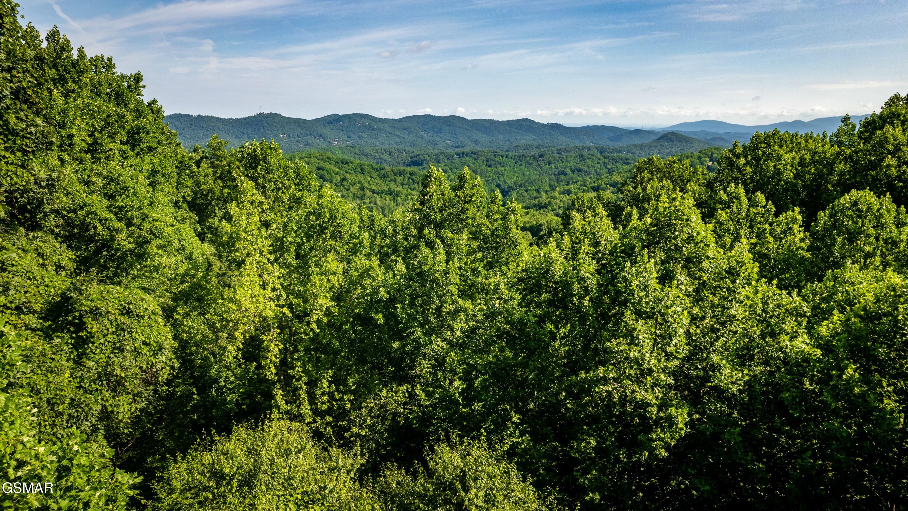 Tract 3-5 Wilson Hollow Way Sevierville TN 37876