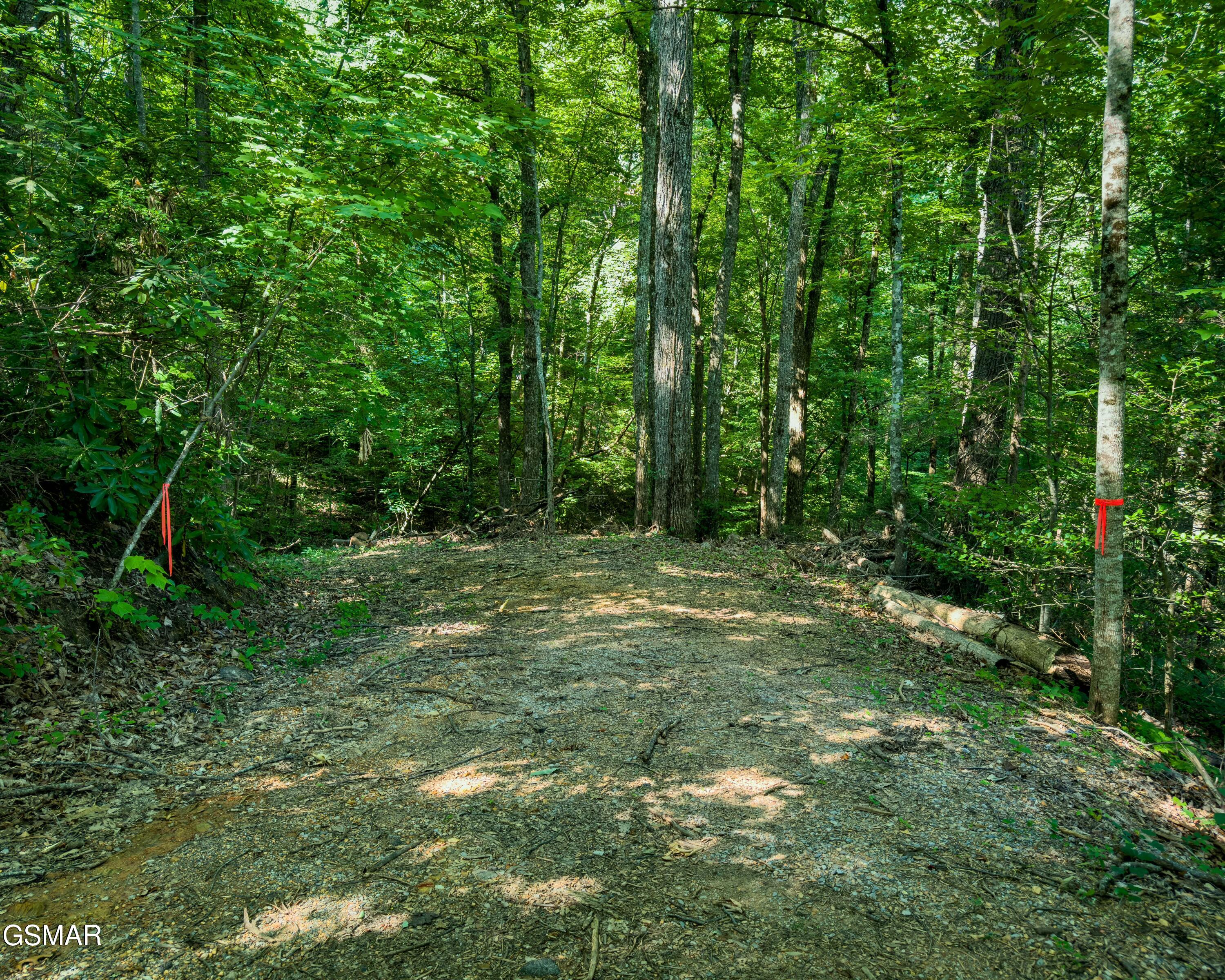 Tract 3-5 Wilson Hollow Way Sevierville TN 37876