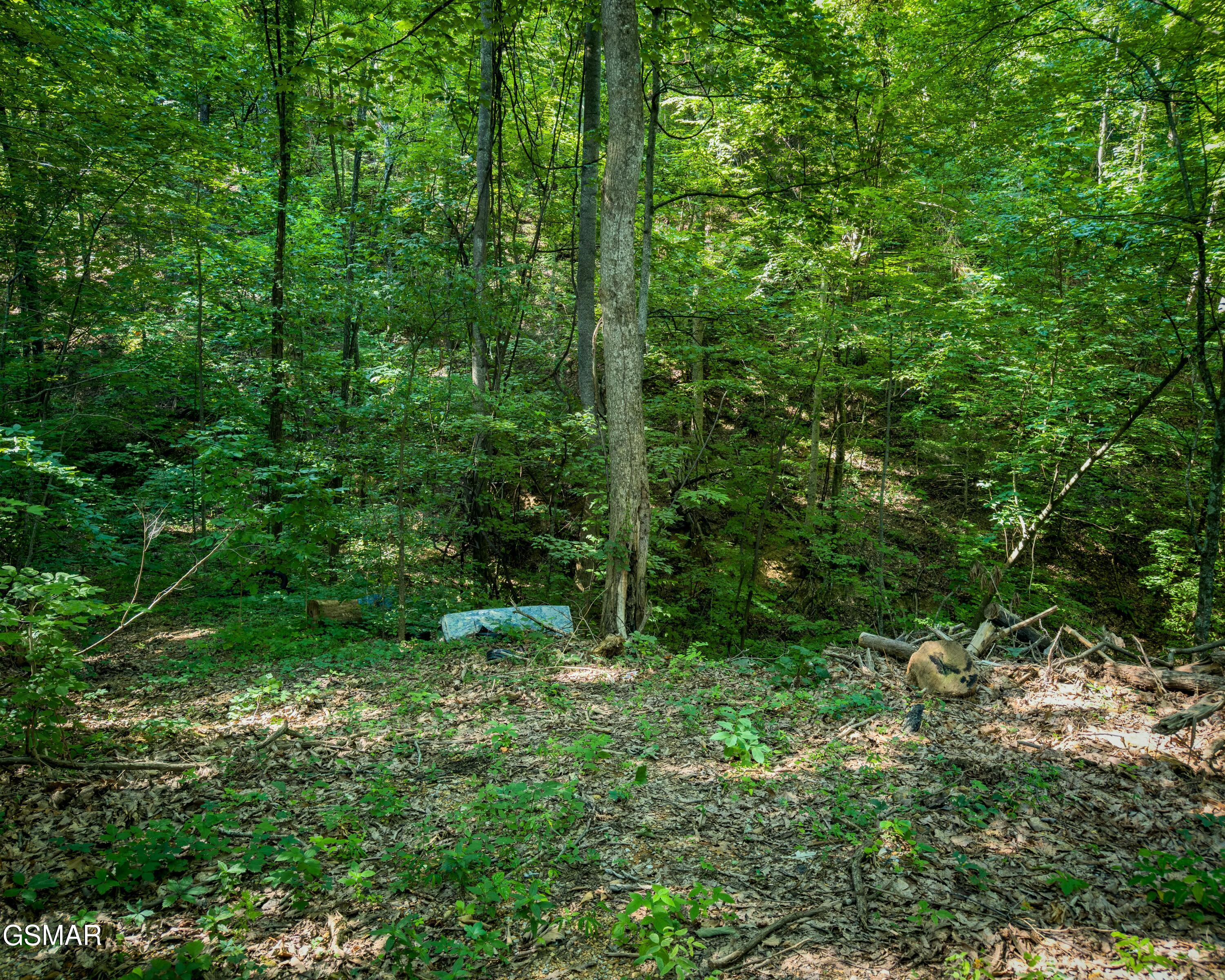 Tract 3-5 Wilson Hollow Way Sevierville TN 37876