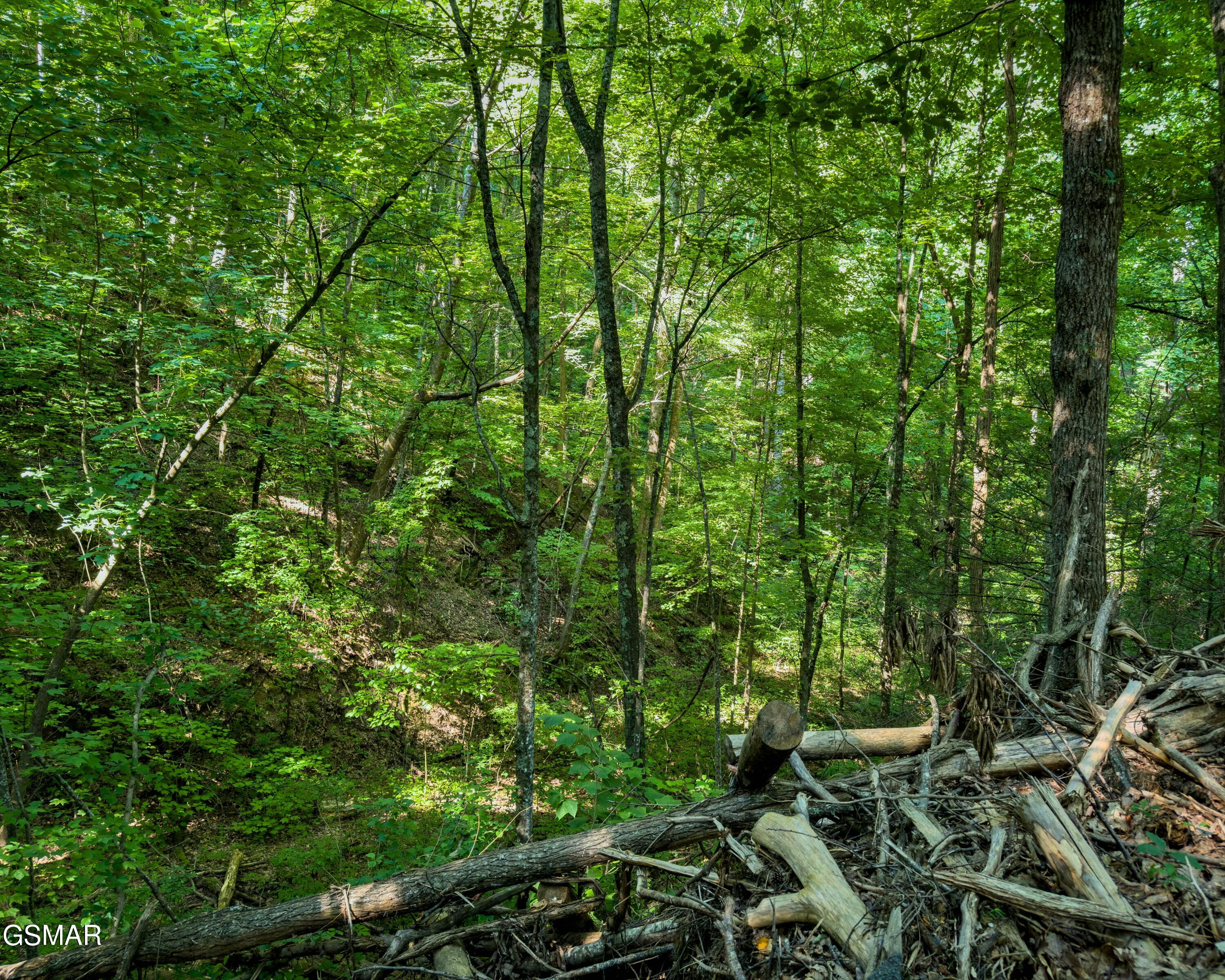 Tract 3-5 Wilson Hollow Way Sevierville TN 37876