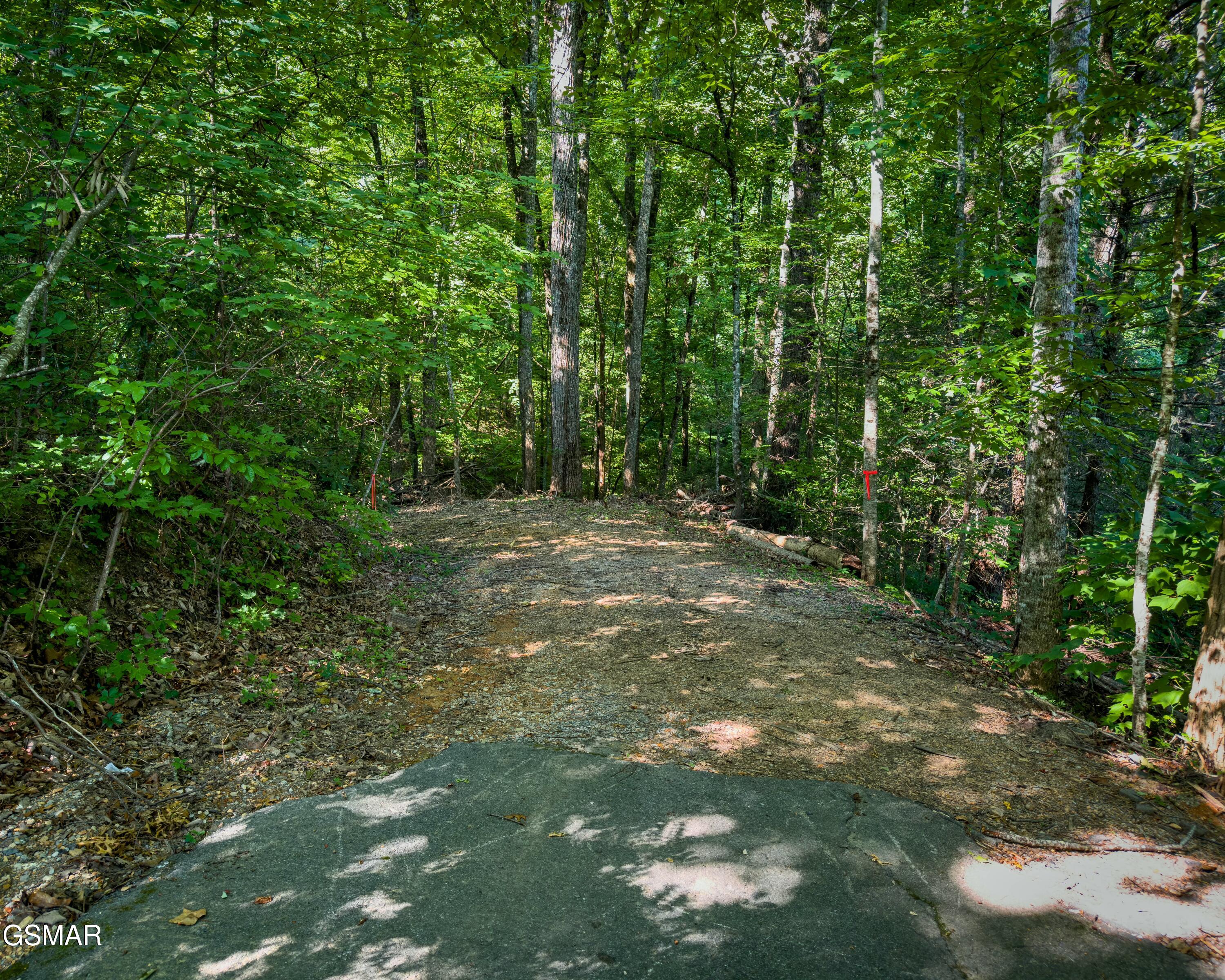 Tract 3-5 Wilson Hollow Way Sevierville TN 37876
