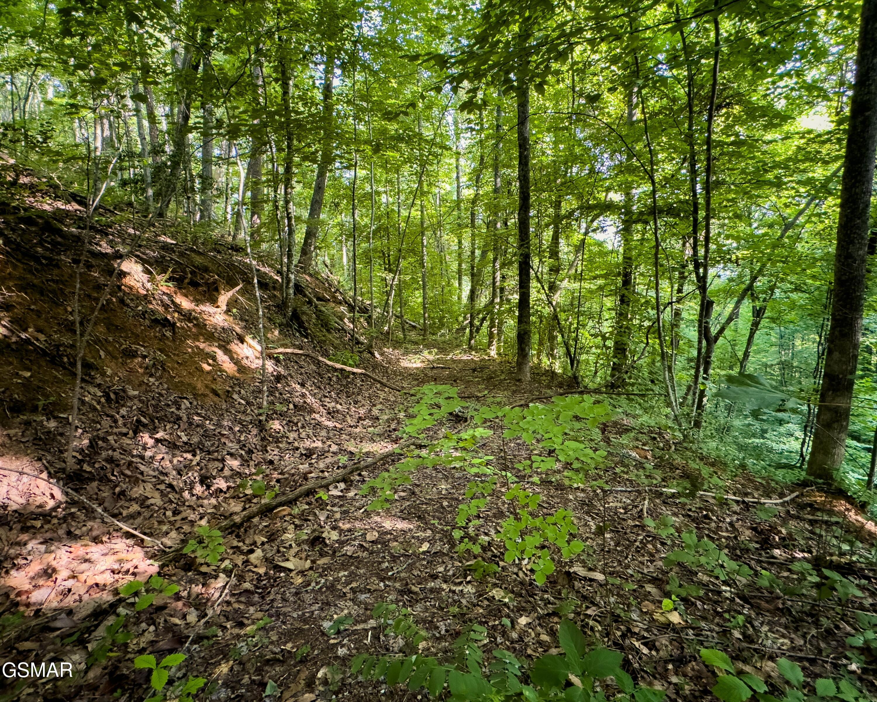 Tract 3-5 Wilson Hollow Way Sevierville TN 37876