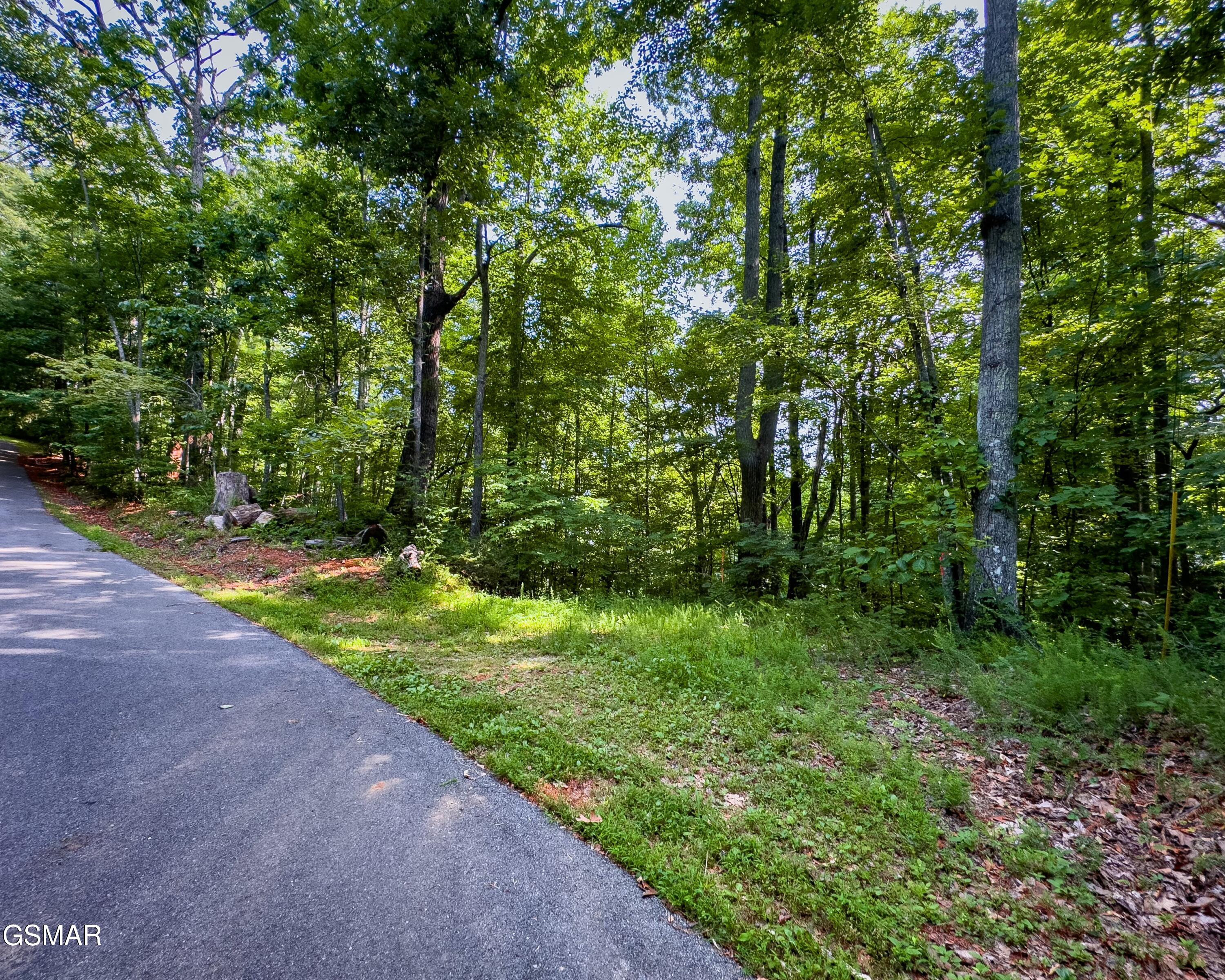 Tract 3-5 Wilson Hollow Way Sevierville TN 37876