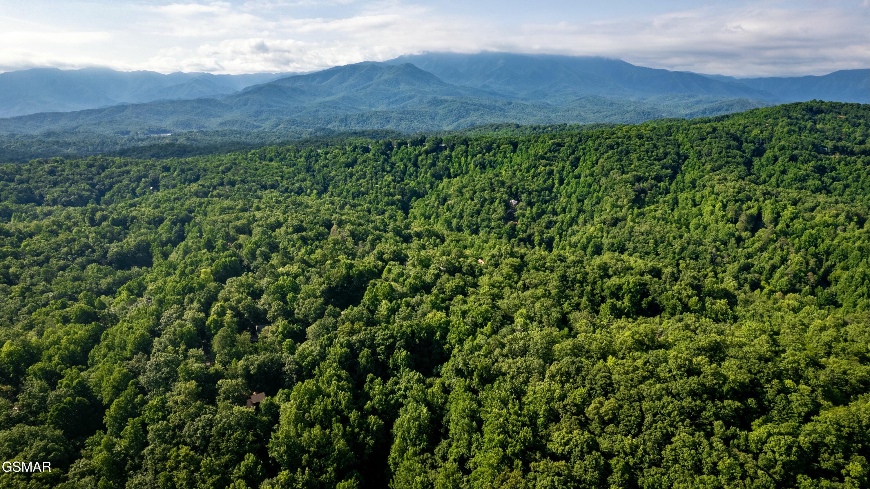 Tract 3-5 Wilson Hollow Way Sevierville TN 37876