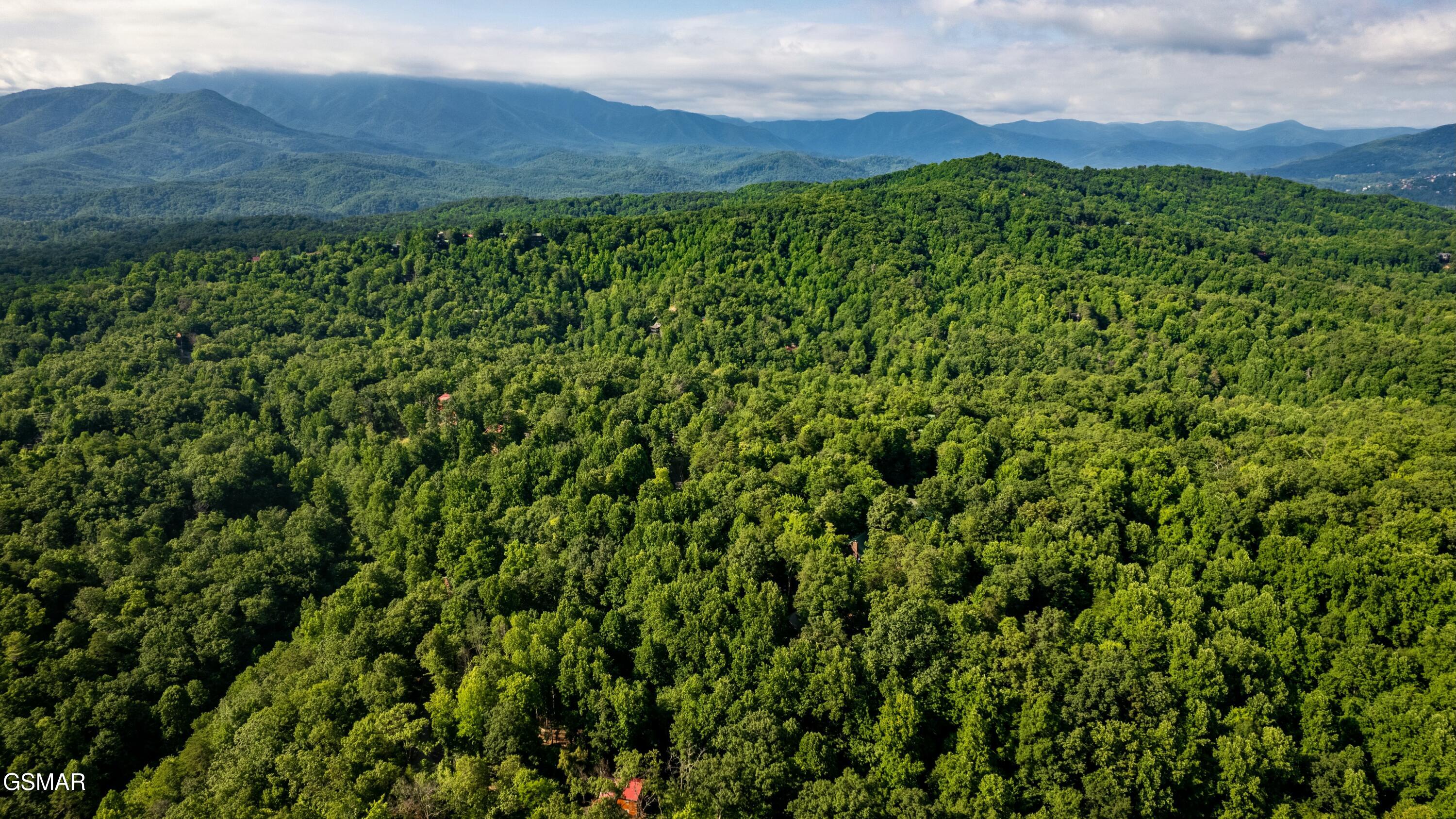 Tract 3-5 Wilson Hollow Way Sevierville TN 37876