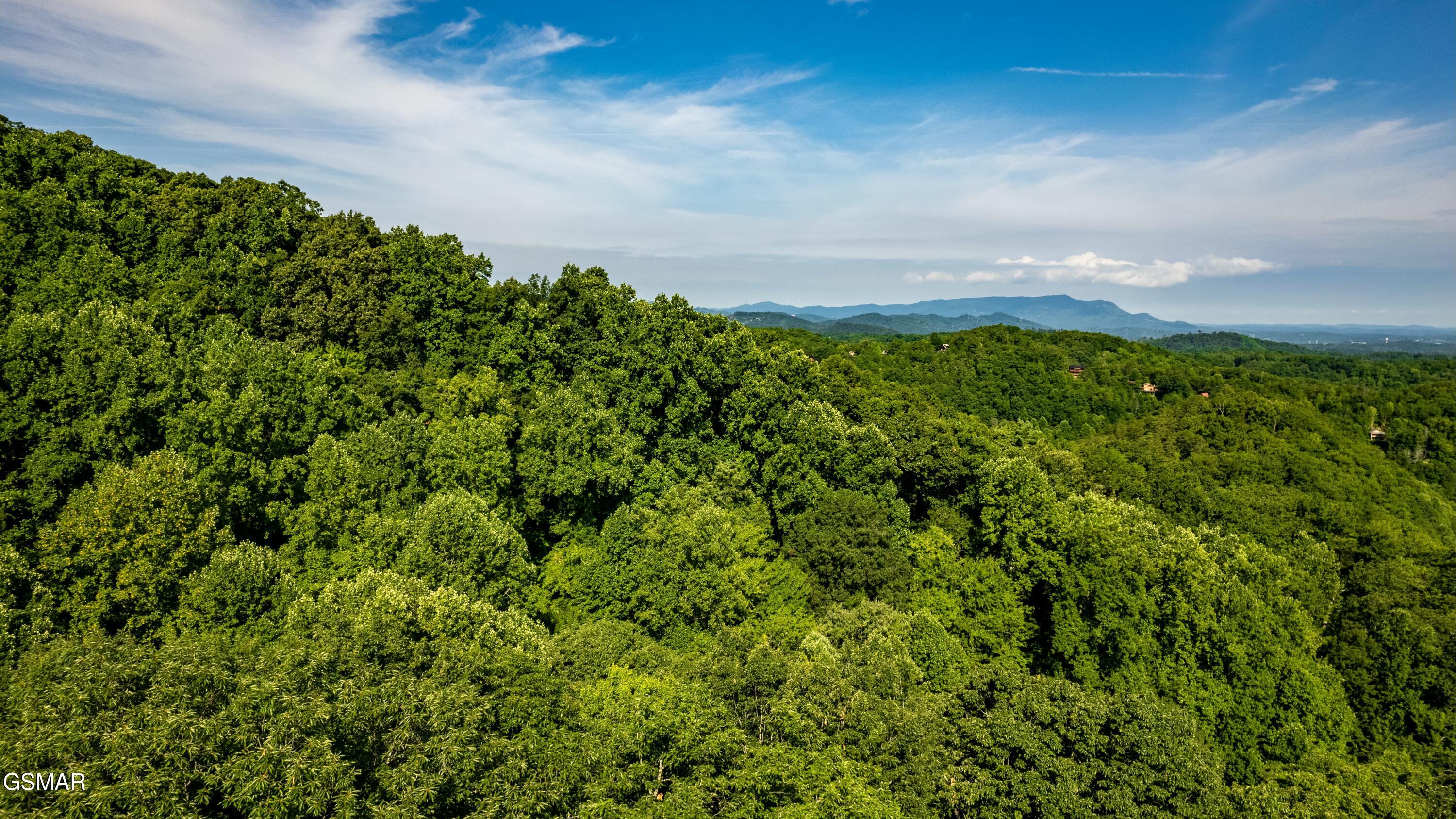 Tract 3-5 Wilson Hollow Way Sevierville TN 37876