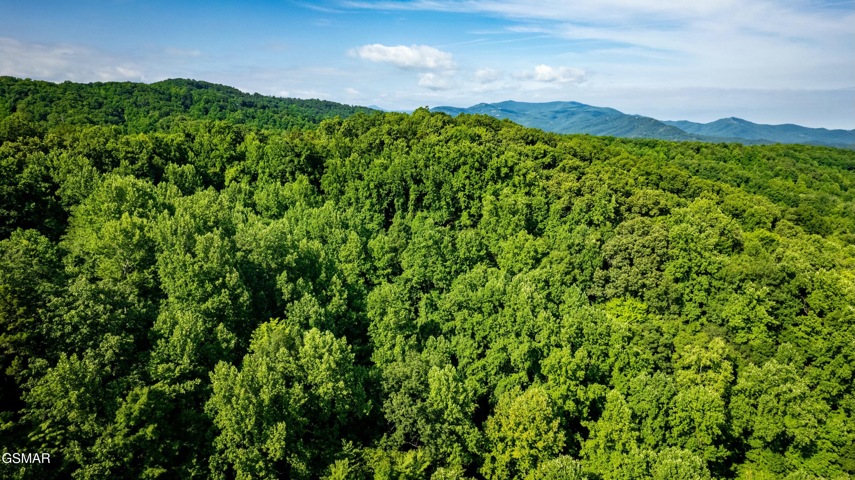 Tract 3-5 Wilson Hollow Way Sevierville TN 37876
