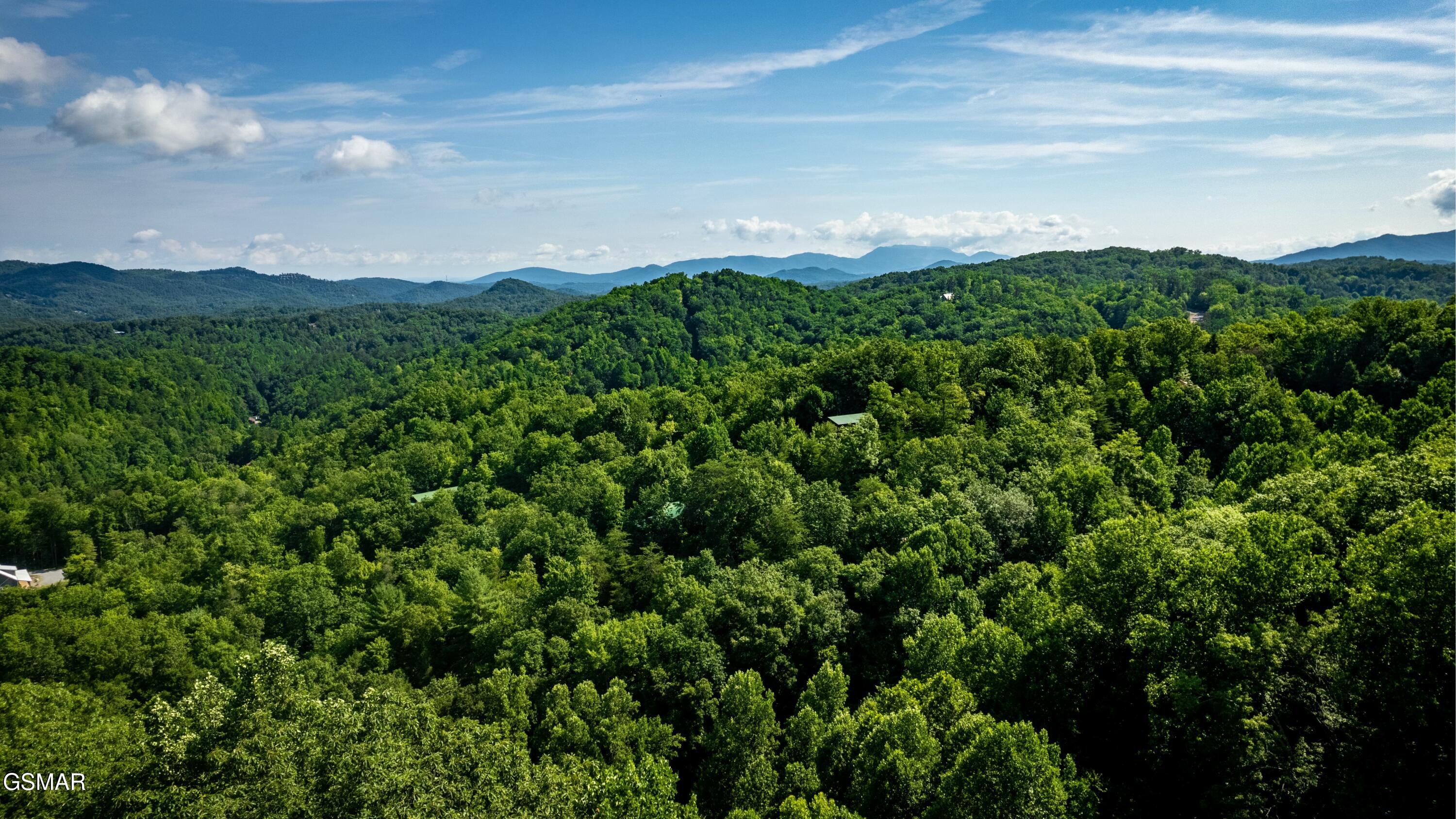 Tract 3-5 Wilson Hollow Way Sevierville TN 37876