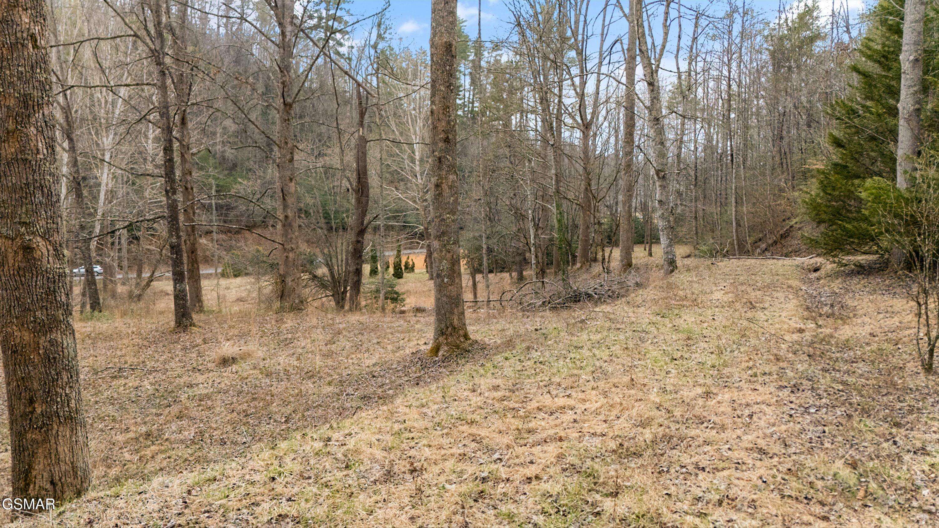 891 Glades Road Gatlinburg TN 37738