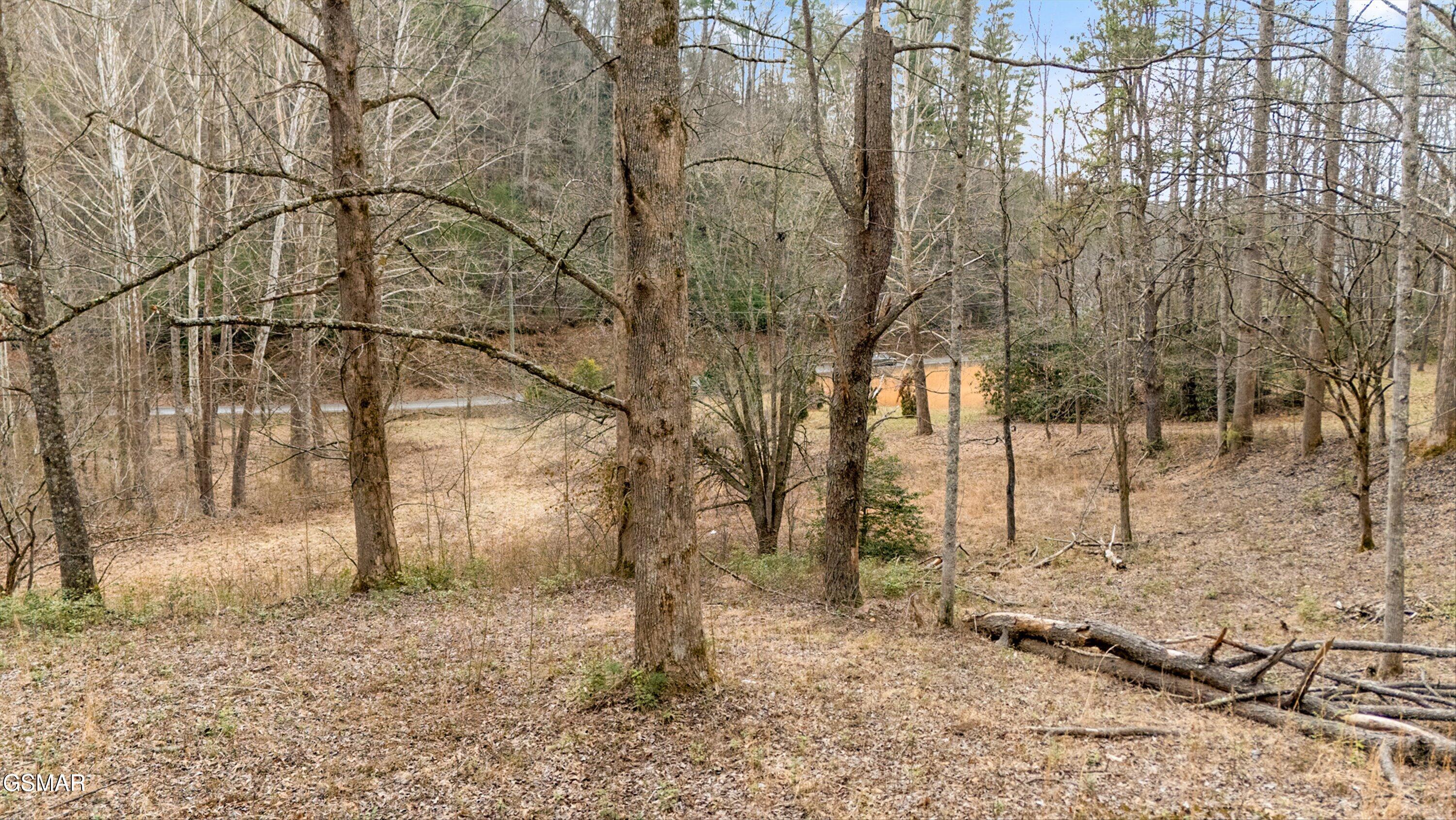 891 Glades Road Gatlinburg TN 37738
