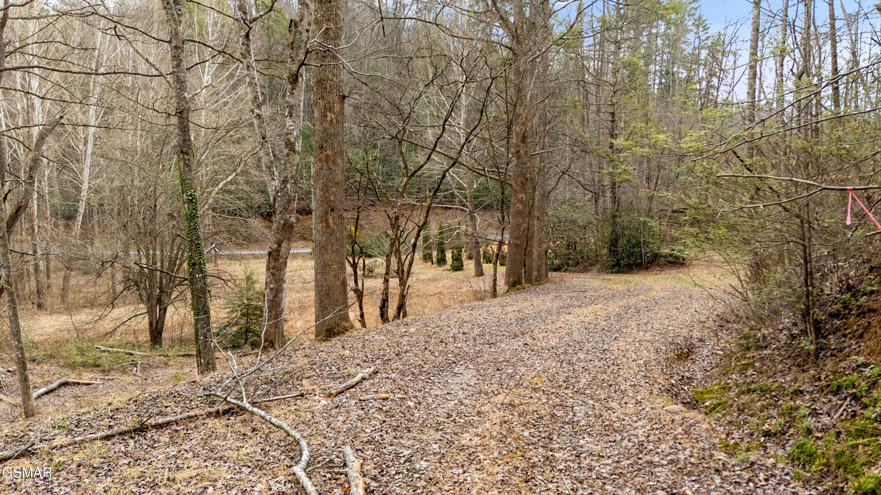 891 Glades Road Gatlinburg TN 37738