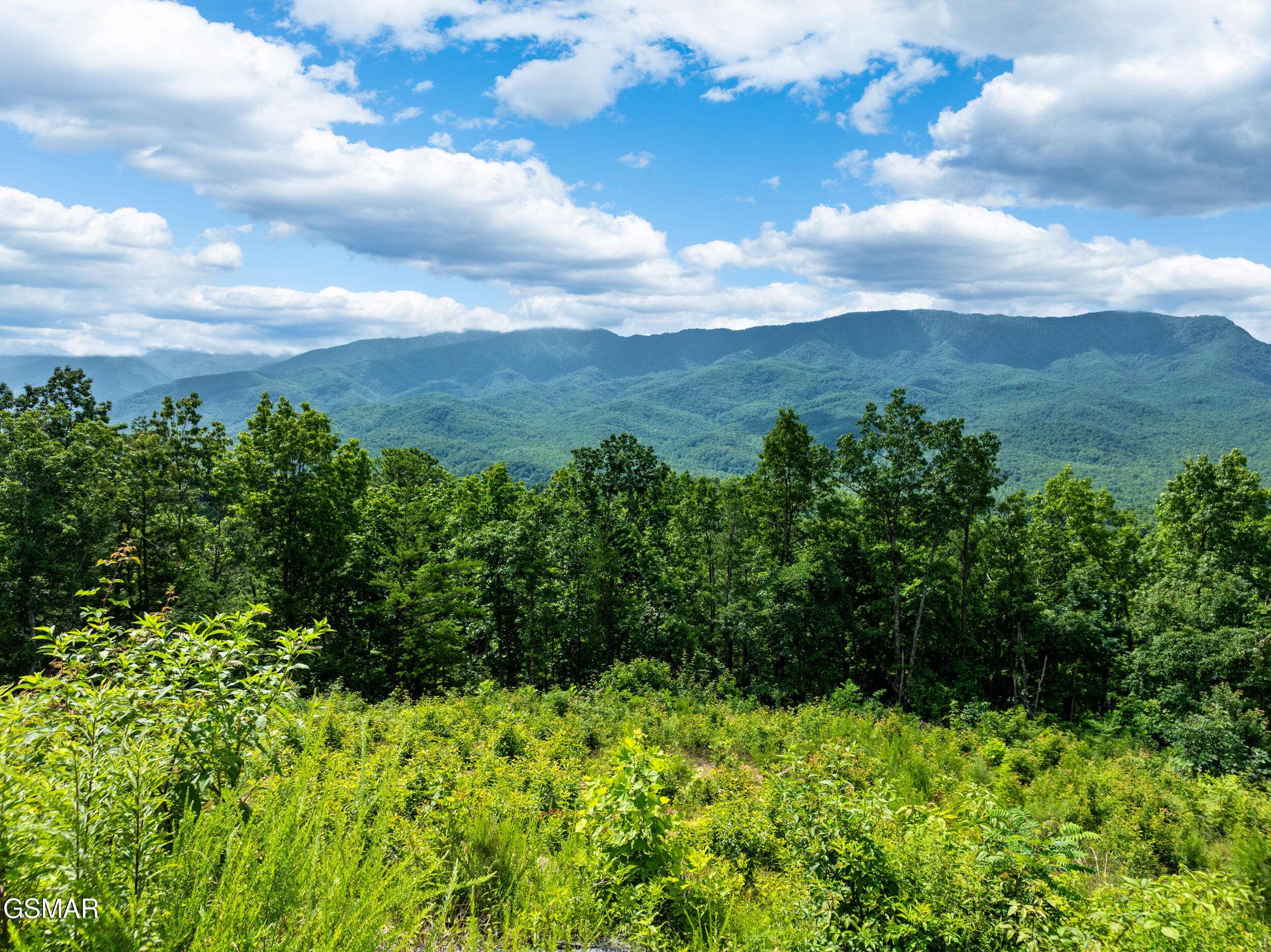 648 Almost Heaven Way Gatlinburg TN 37738