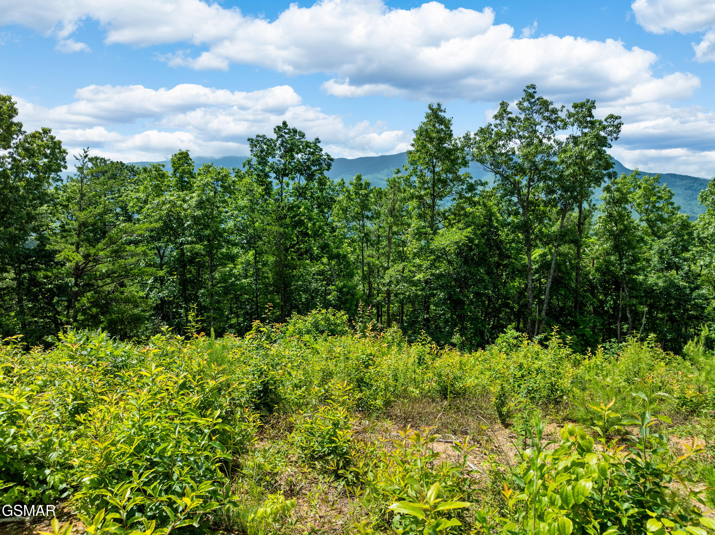 648 Almost Heaven Way Gatlinburg TN 37738