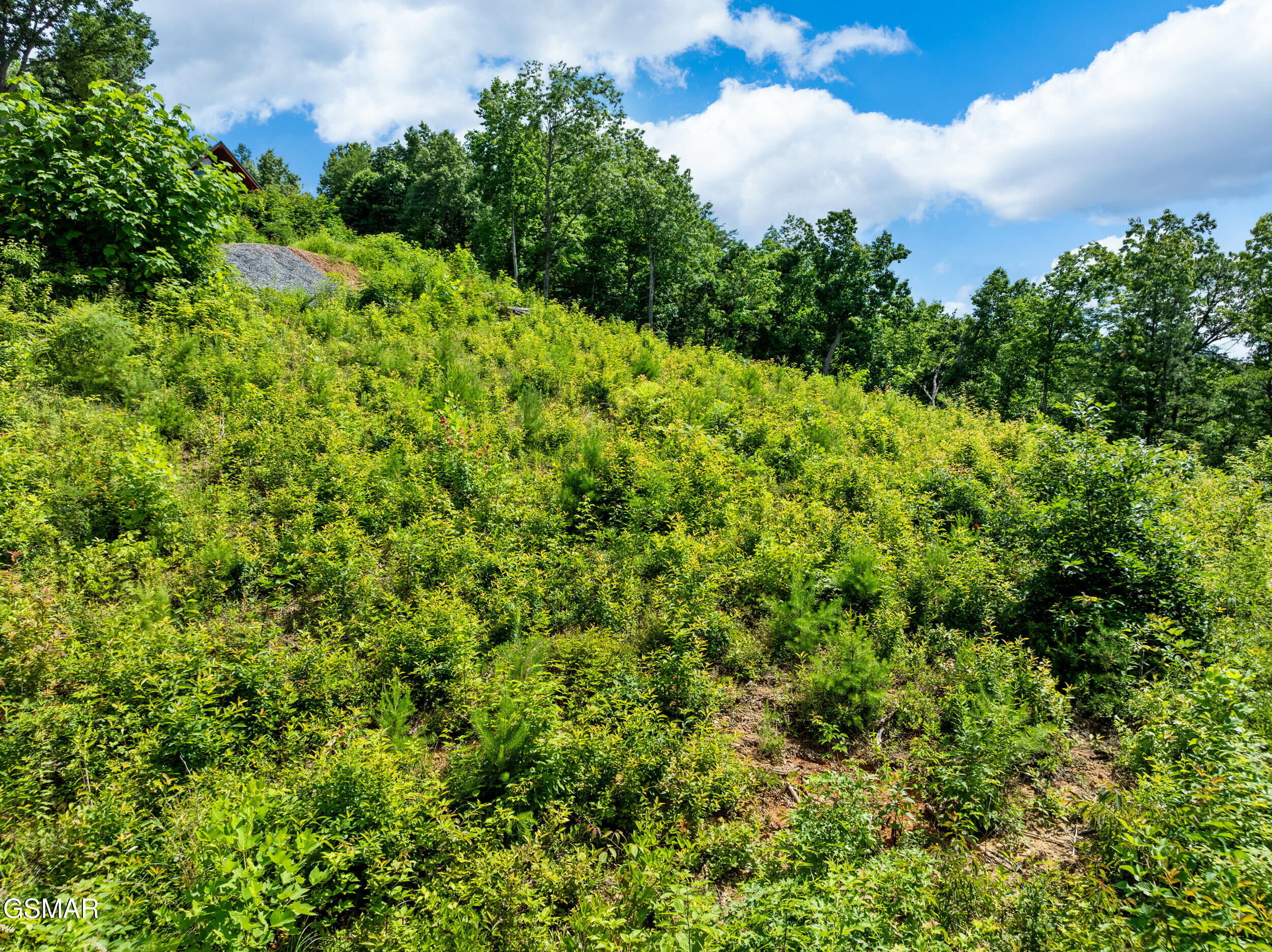 648 Almost Heaven Way Gatlinburg TN 37738