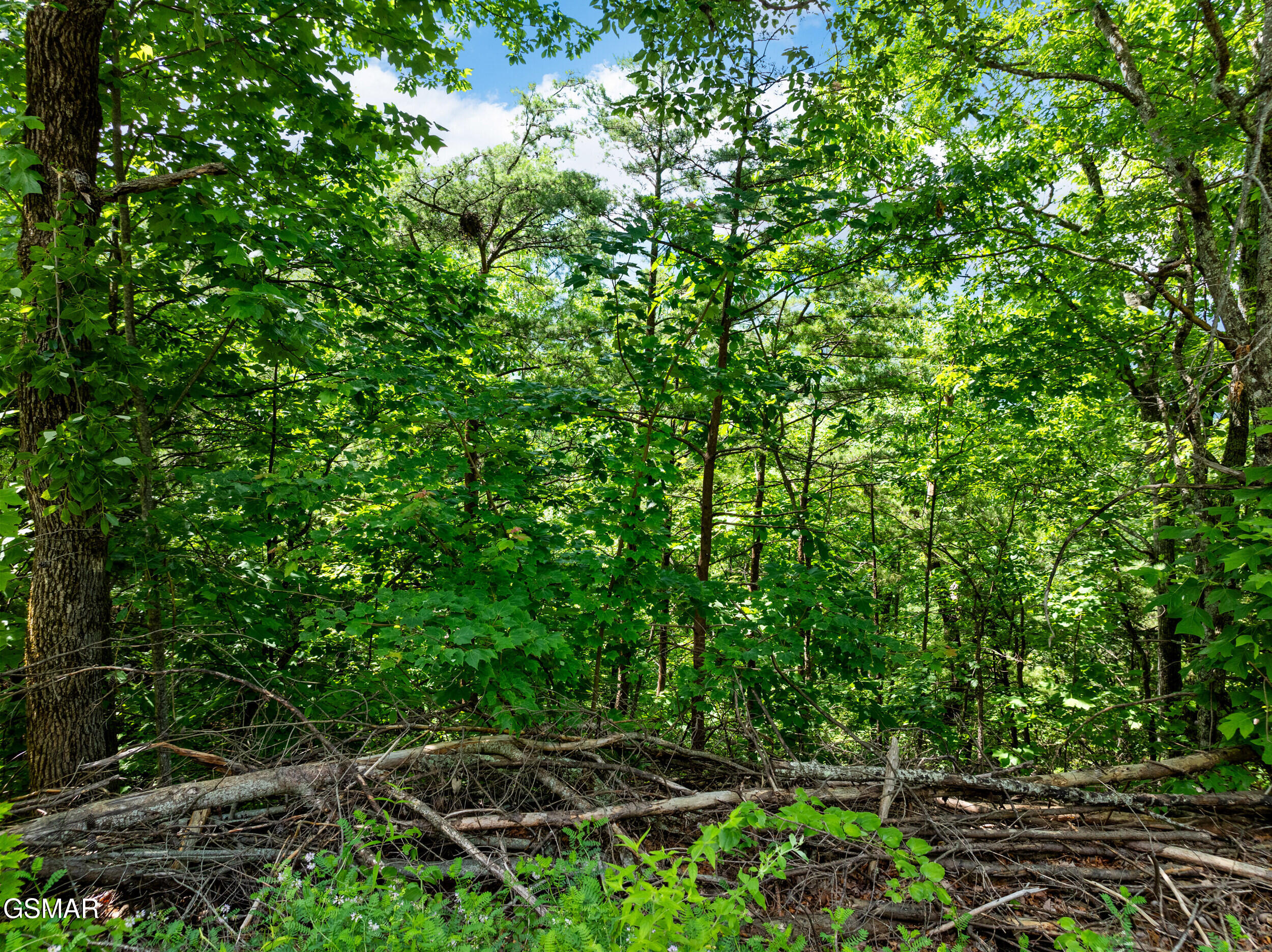 648 Almost Heaven Way Gatlinburg TN 37738