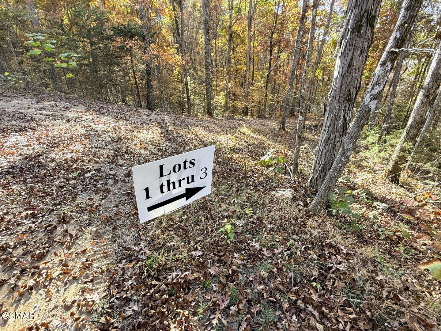 Tracts 1-3 Topaz Way Parrottsville TN 37843