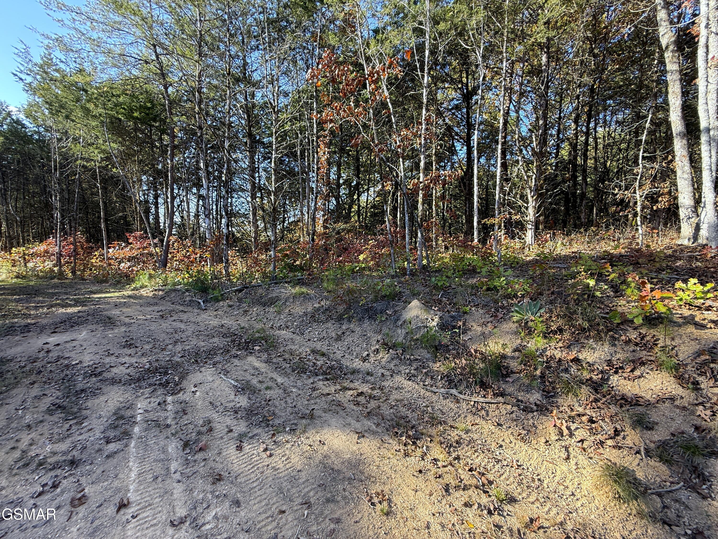 Tracts 1-3 Topaz Way Parrottsville TN 37843