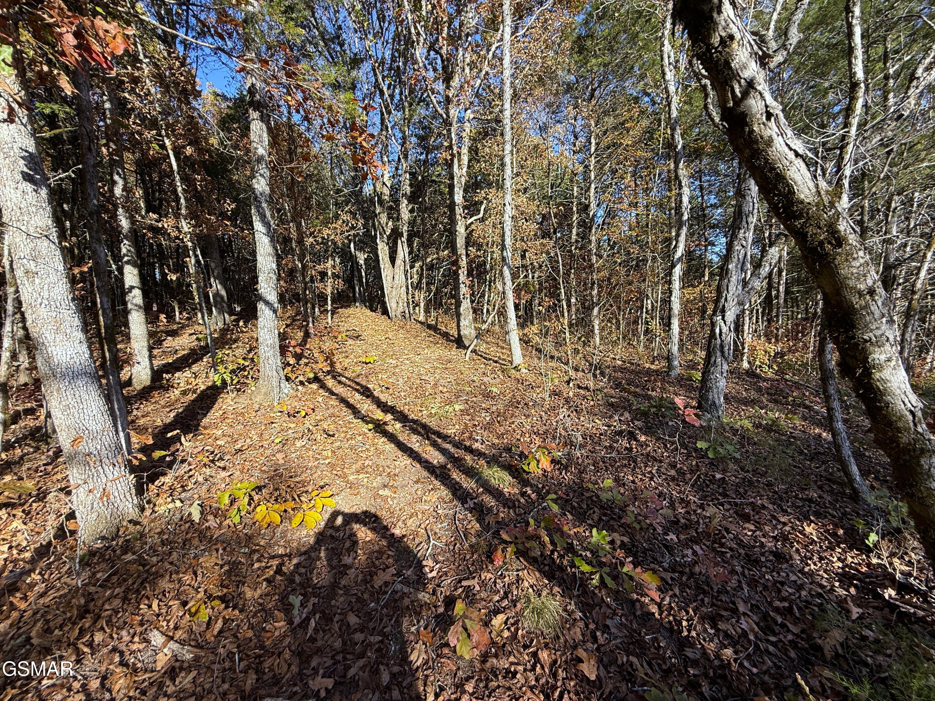 Tracts 1-3 Topaz Way Parrottsville TN 37843