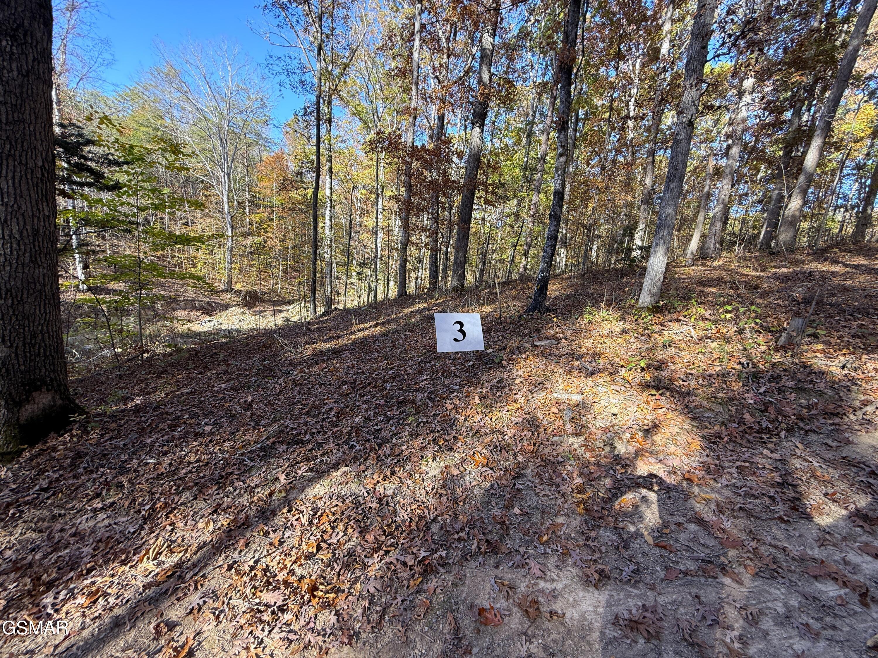 Tracts 1-3 Topaz Way Parrottsville TN 37843