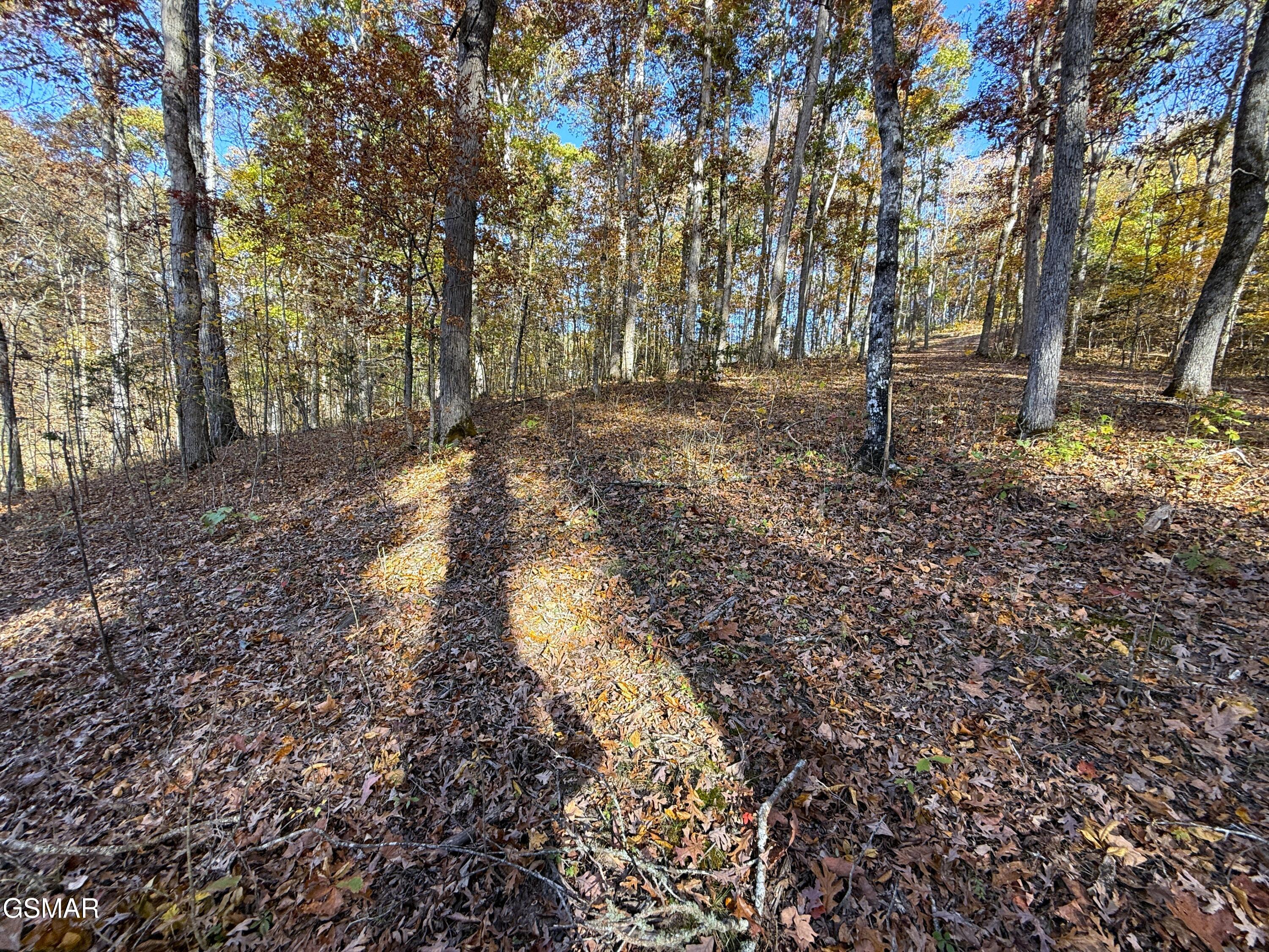 Tracts 1-3 Topaz Way Parrottsville TN 37843