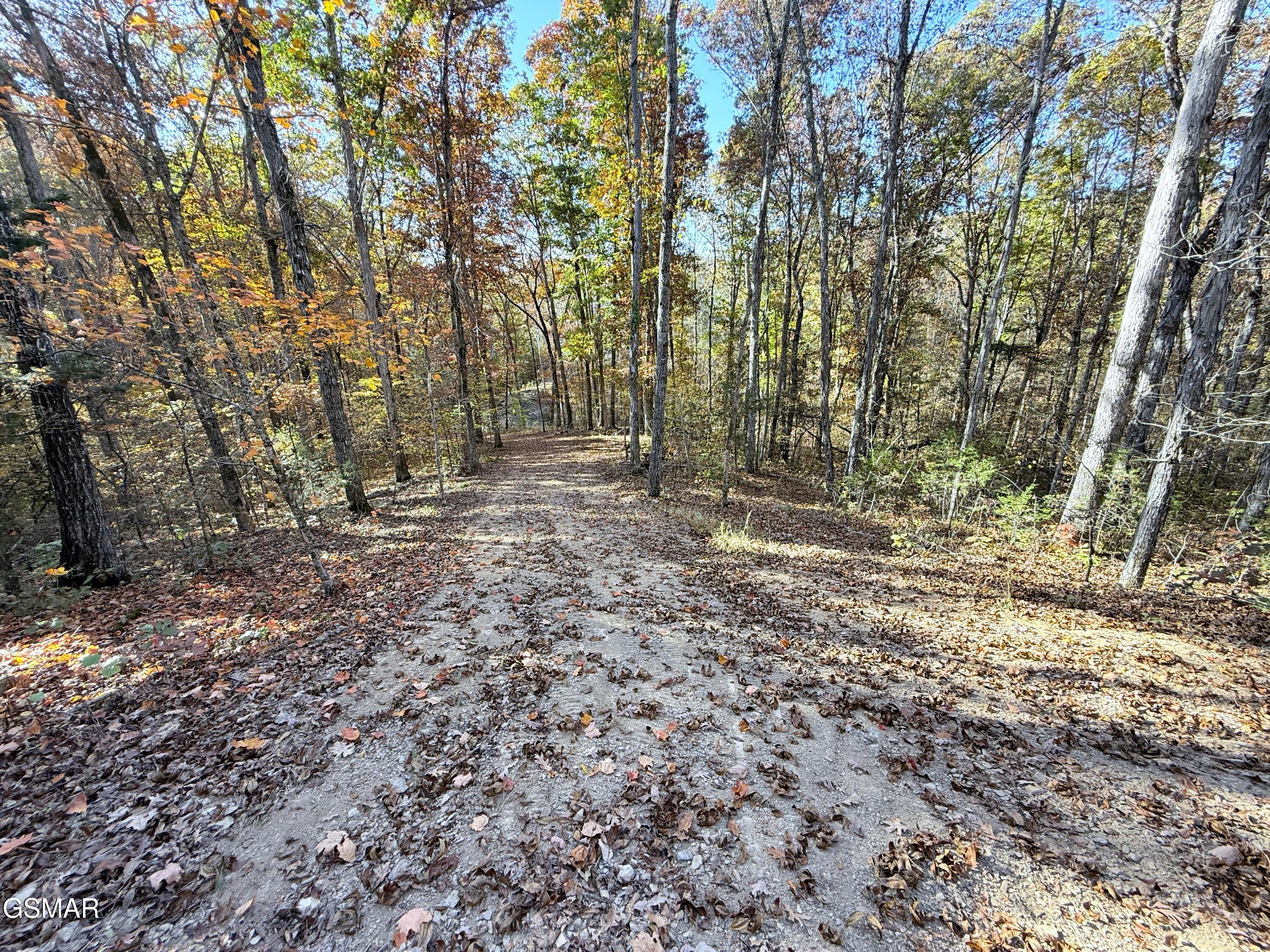 Tracts 1-3 Topaz Way Parrottsville TN 37843