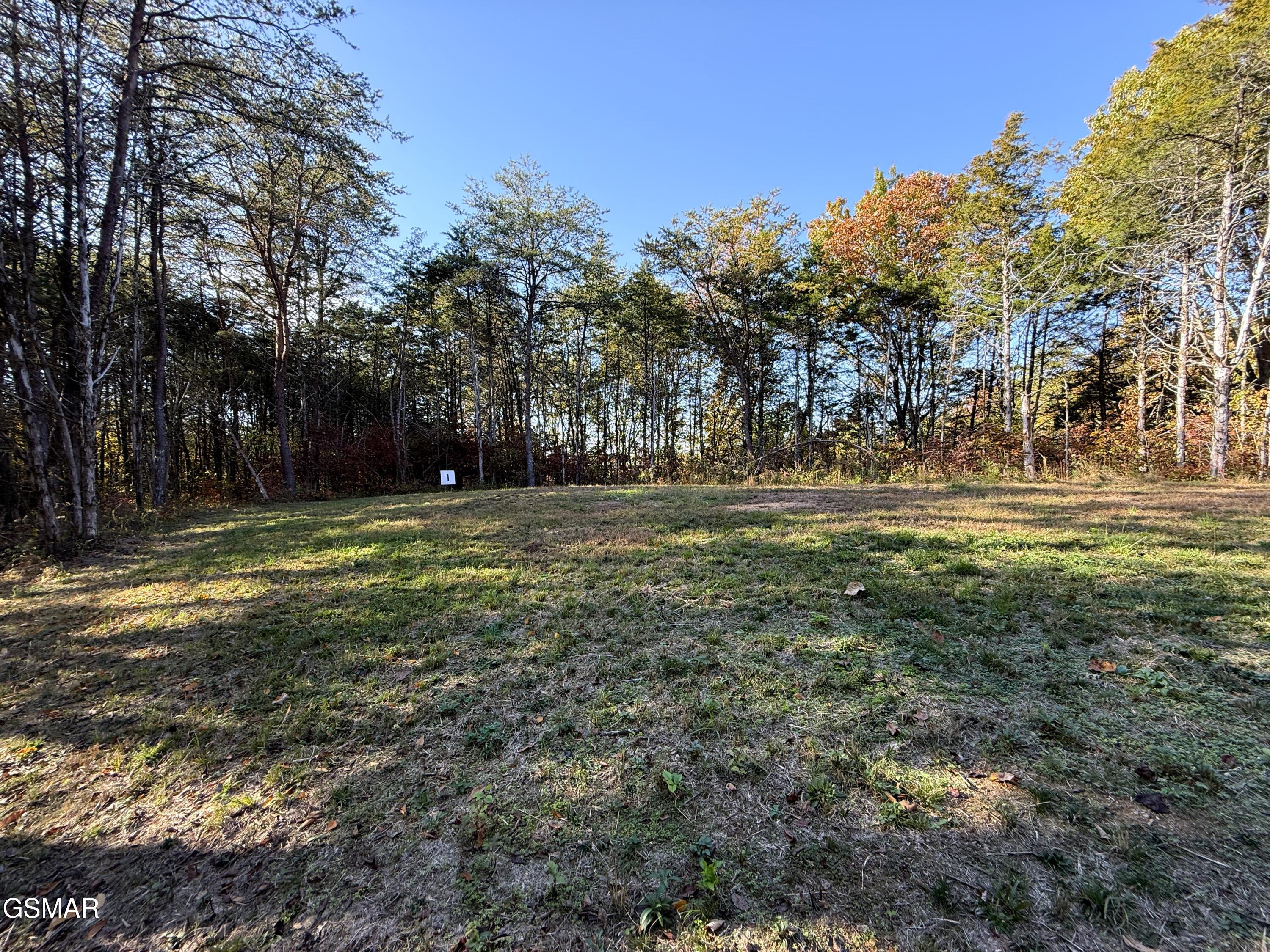 Tracts 1-3 Topaz Way Parrottsville TN 37843