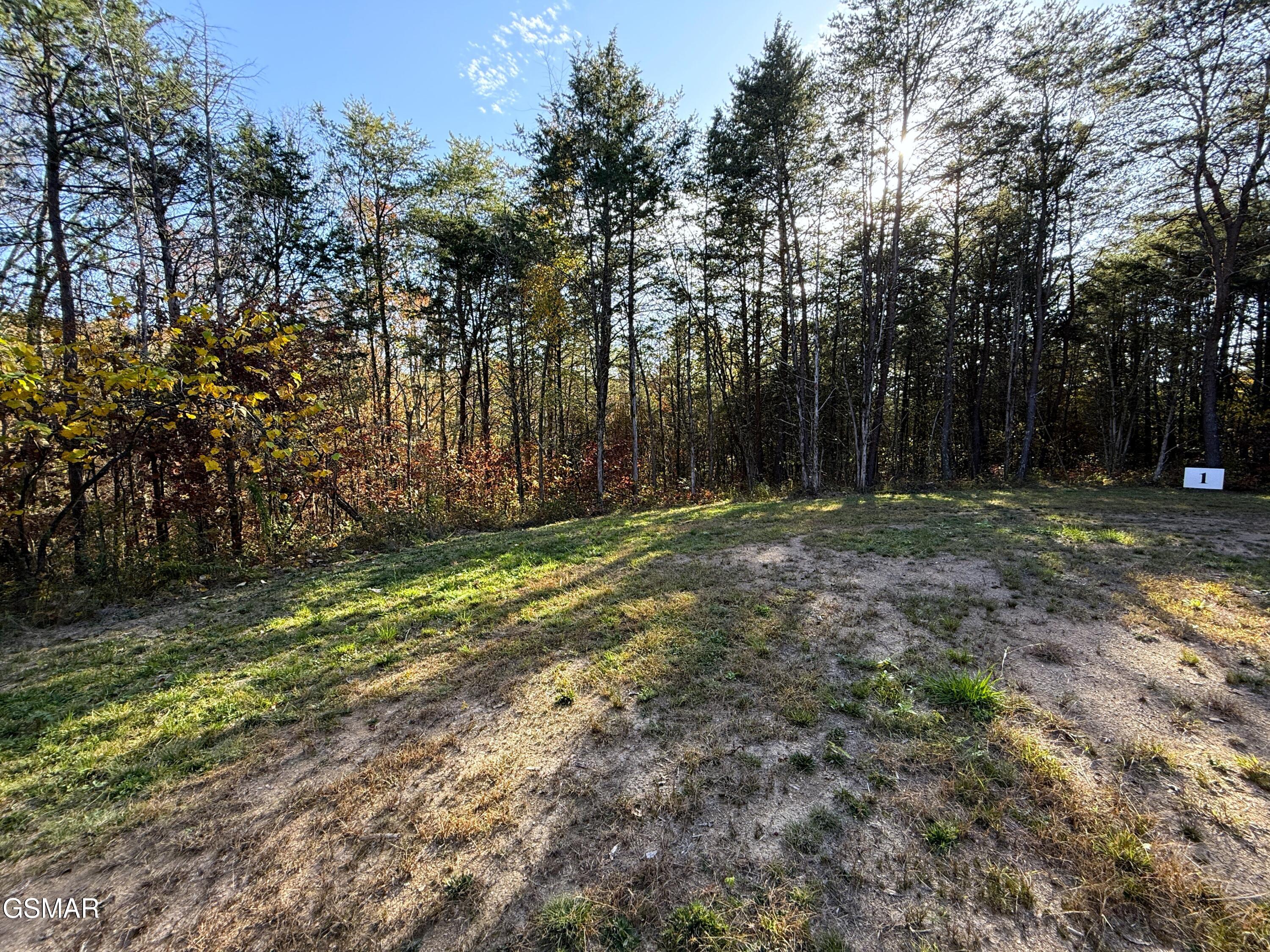 Tracts 1-3 Topaz Way Parrottsville TN 37843