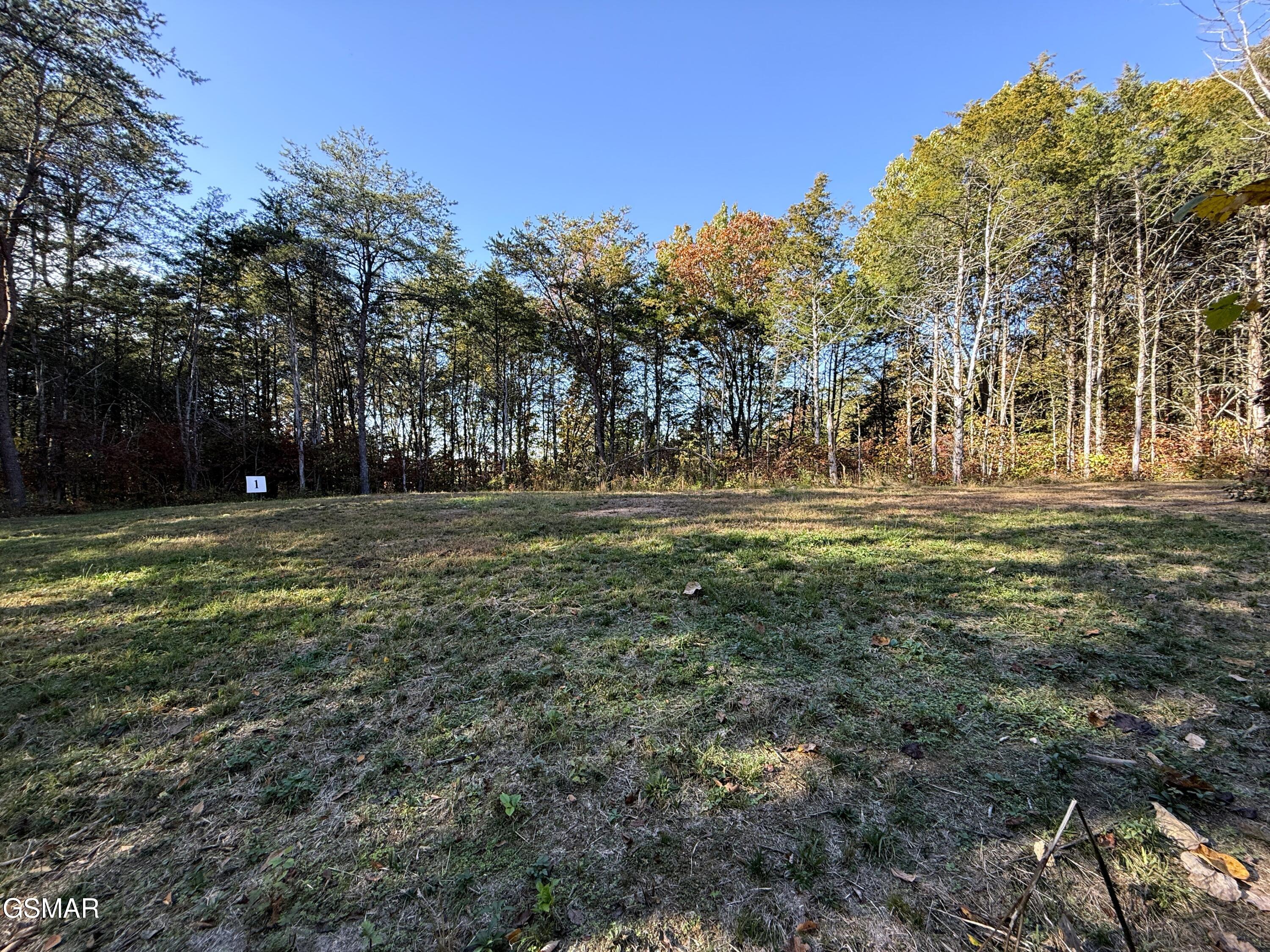Tracts 1-3 Topaz Way Parrottsville TN 37843