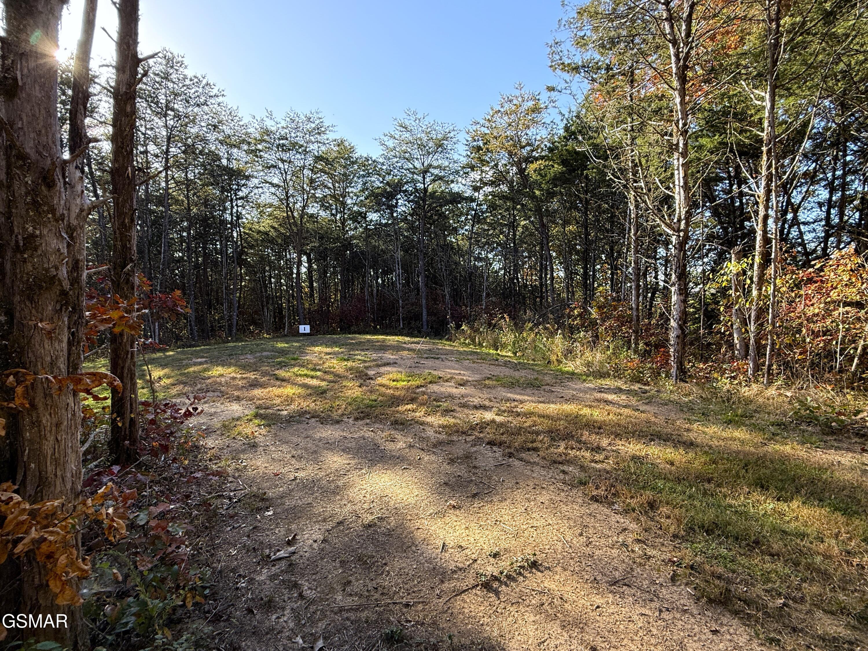 Tracts 1-3 Topaz Way Parrottsville TN 37843