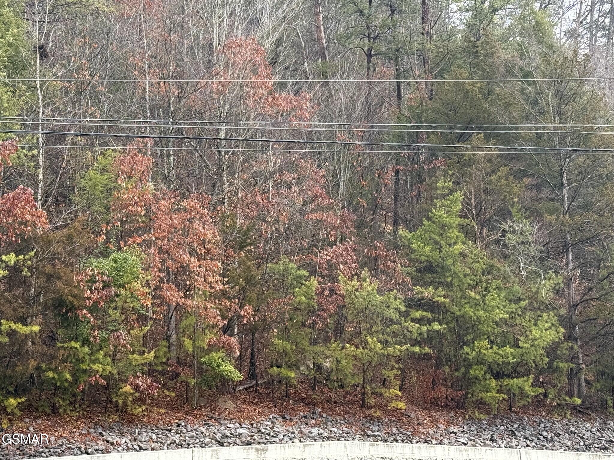 0 Birds Creek Road Sevierville TN 37876