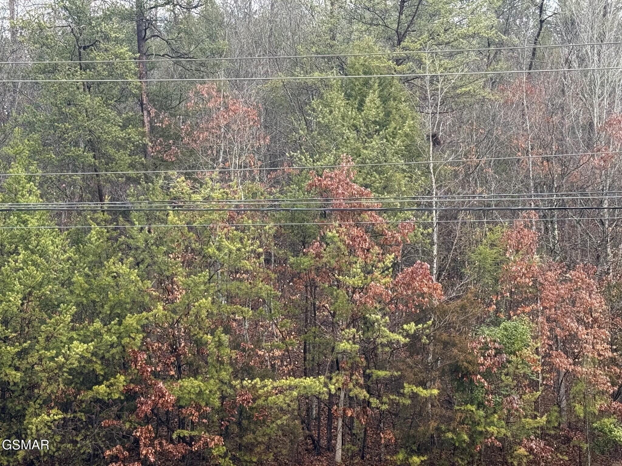 0 Birds Creek Road Sevierville TN 37876