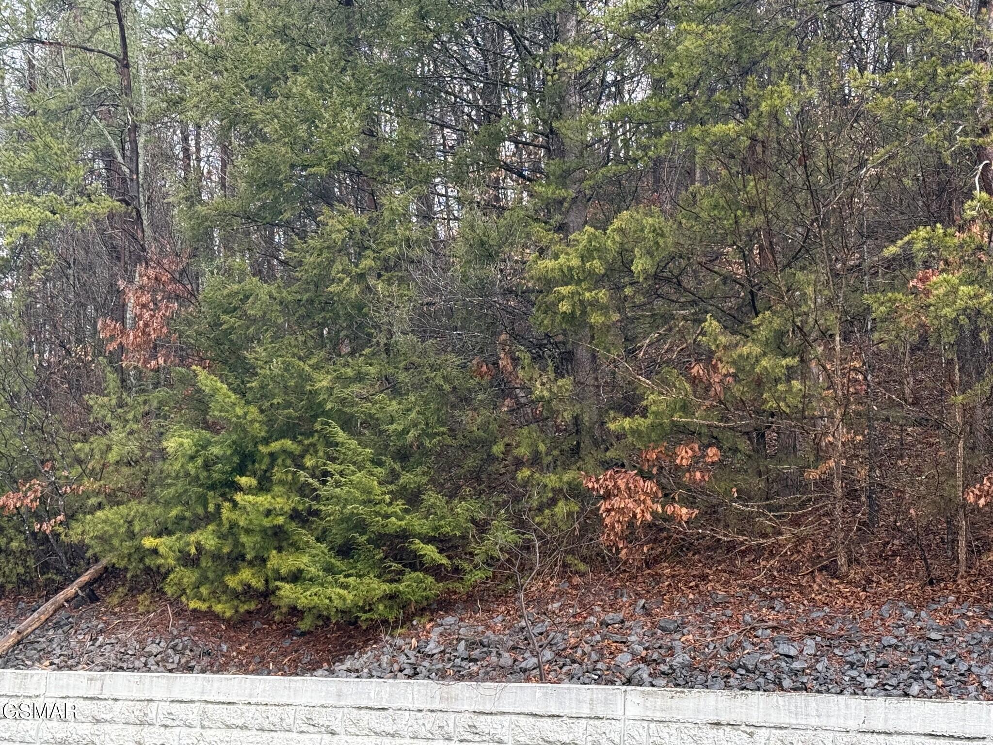 0 Birds Creek Road Sevierville TN 37876