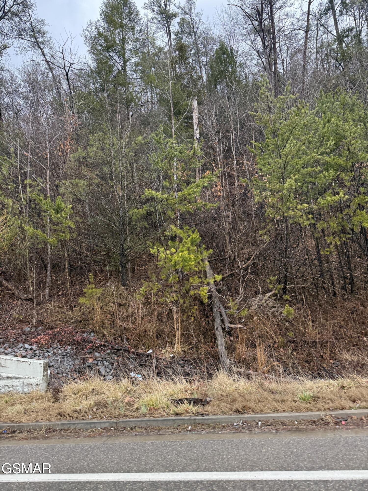 0 Birds Creek Road Sevierville TN 37876