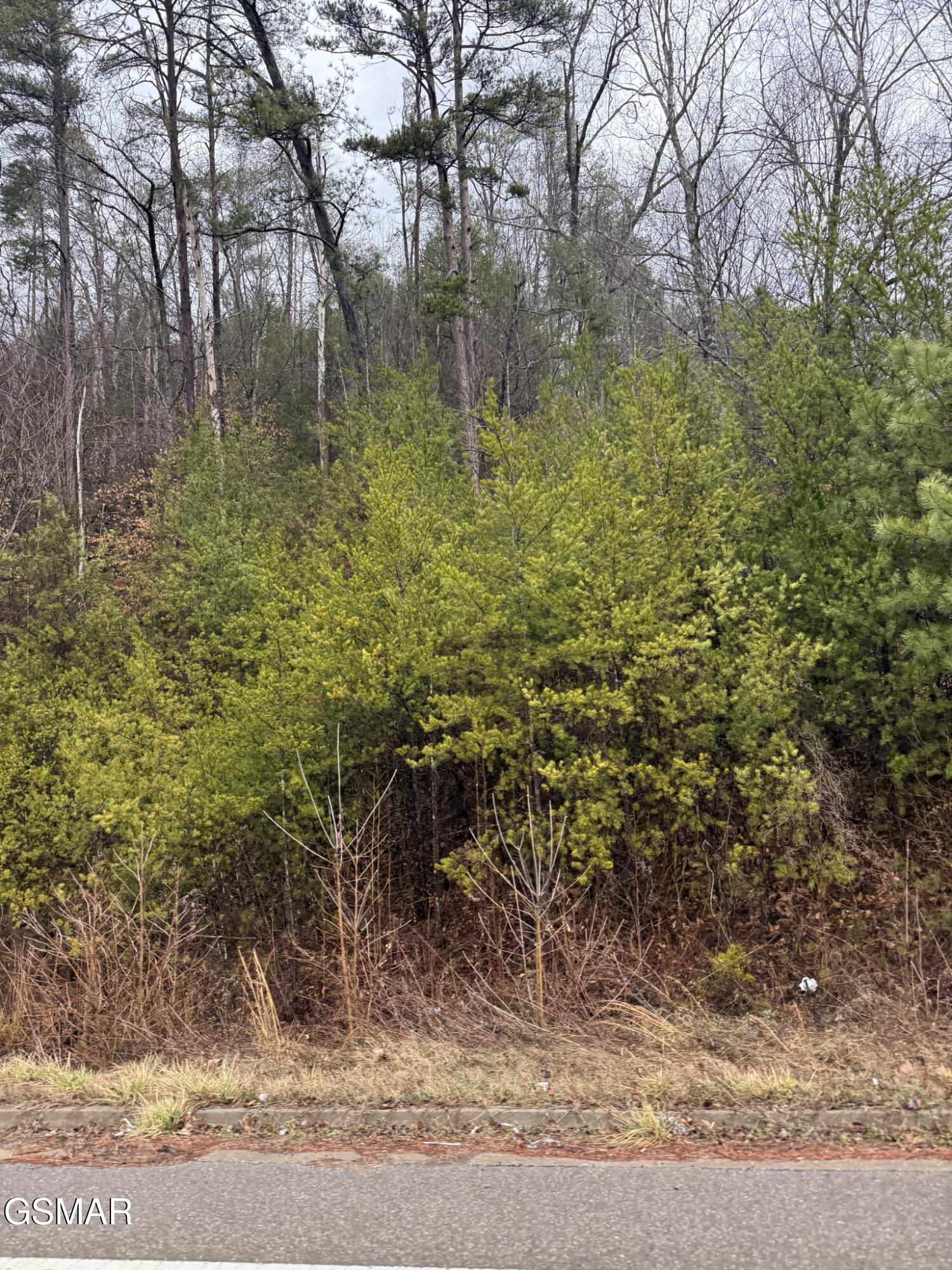 0 Birds Creek Road Sevierville TN 37876