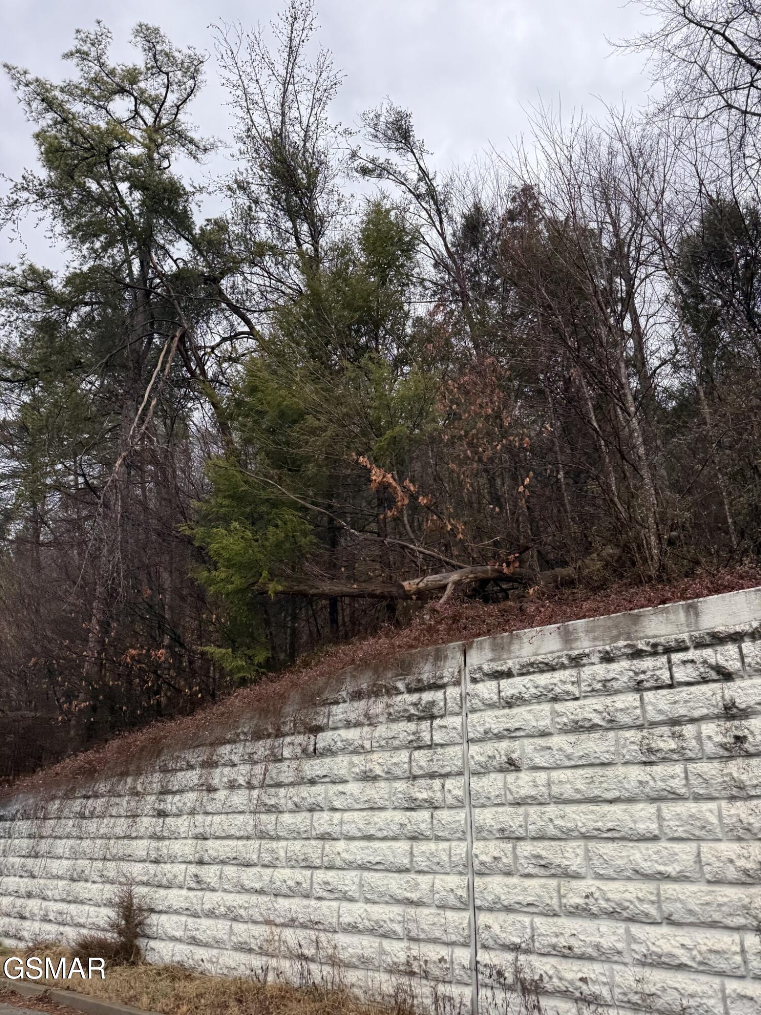 0 Birds Creek Road Sevierville TN 37876