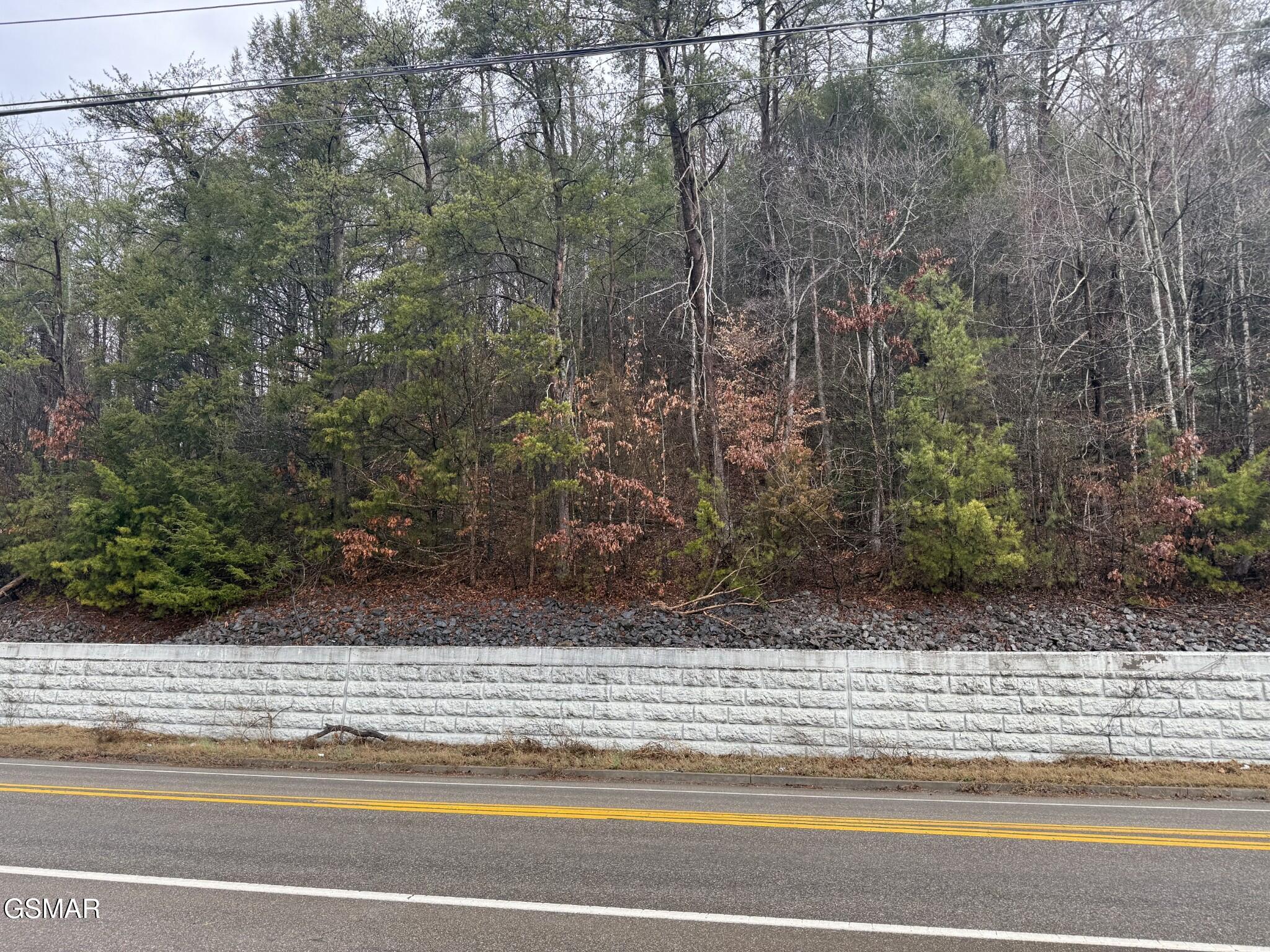 0 Birds Creek Road Sevierville TN 37876