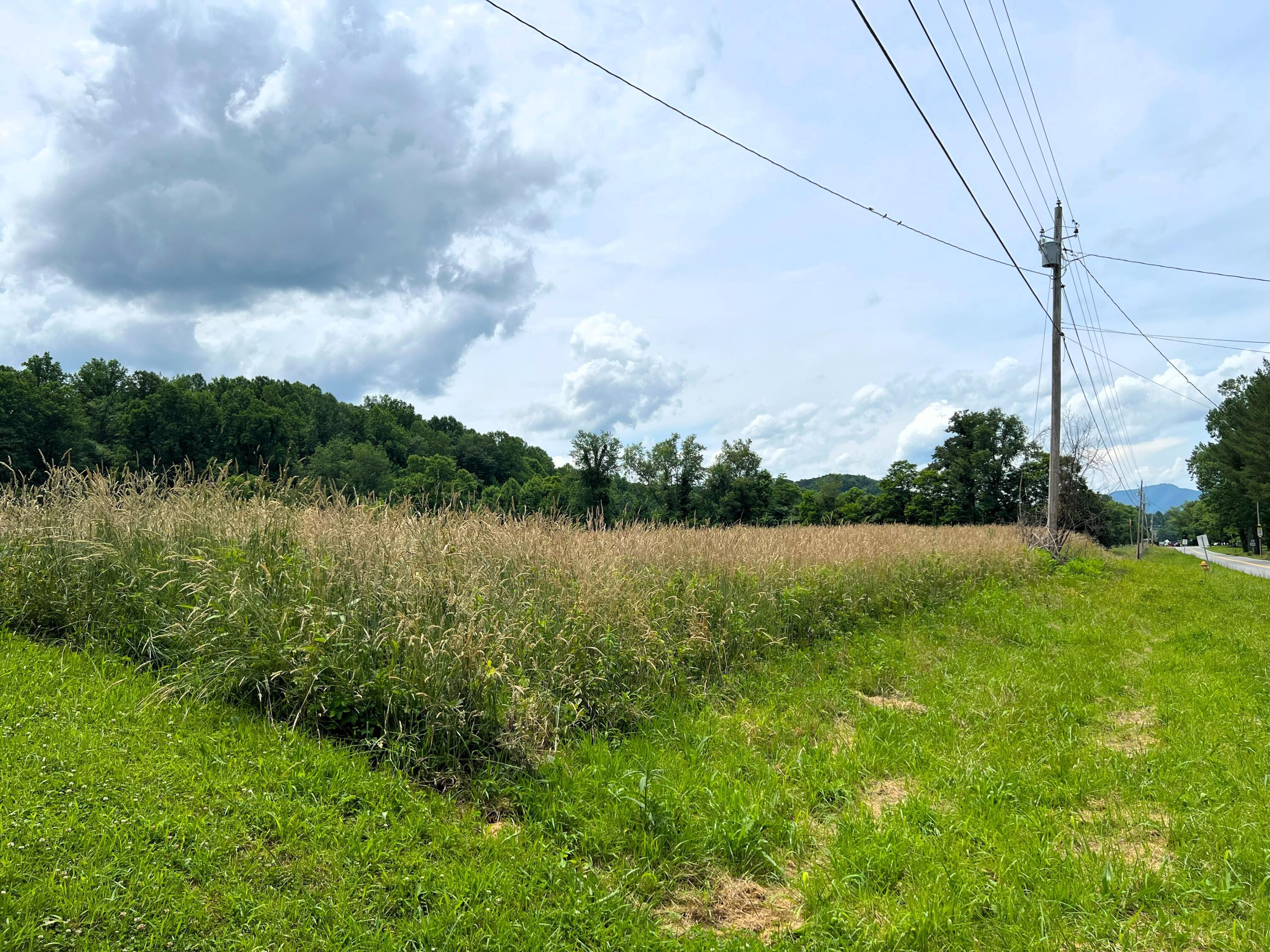 Par 130.01 S Highway 32 Cosby TN 37722