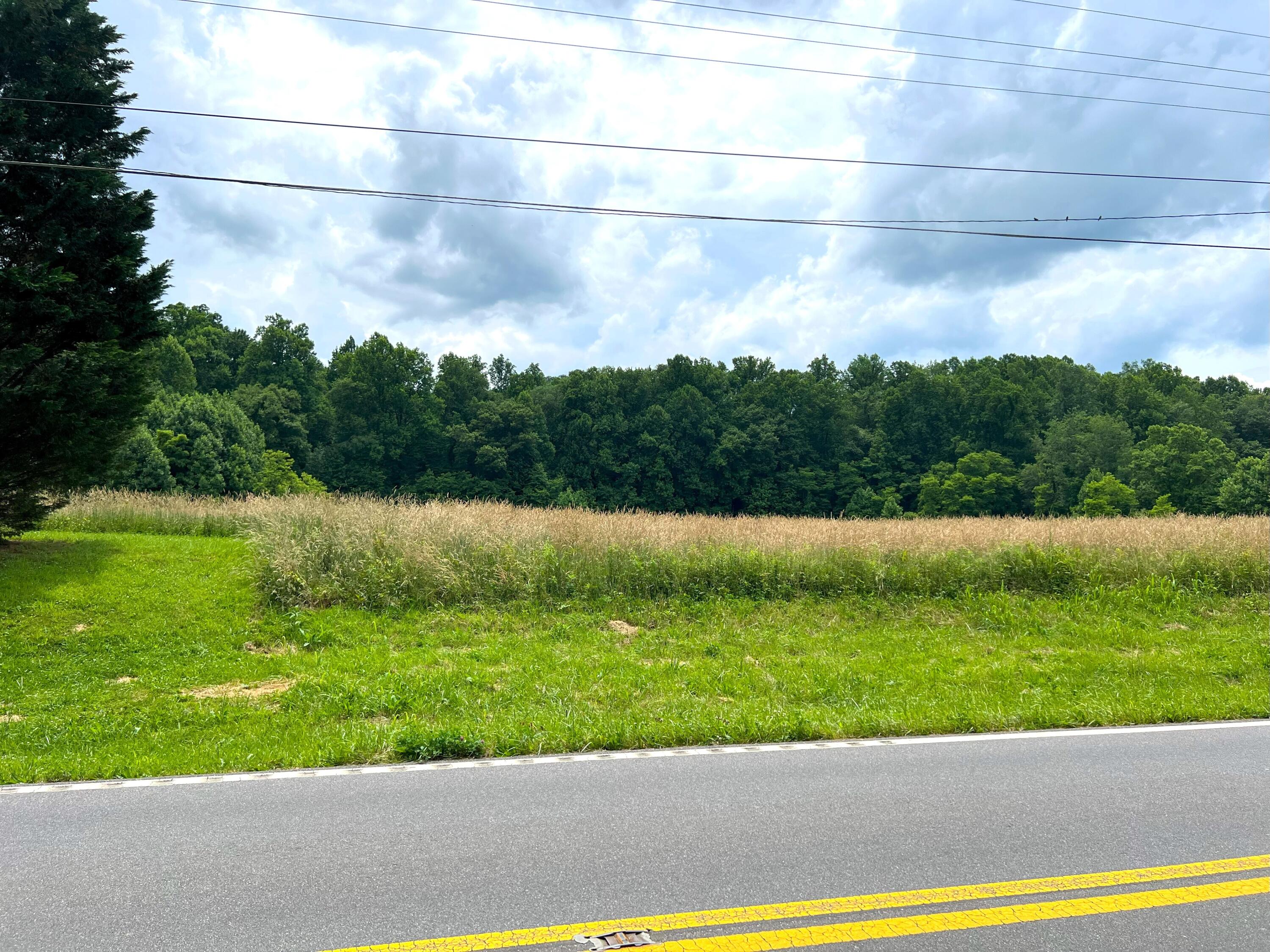 Par 130.01 S Highway 32 Cosby TN 37722