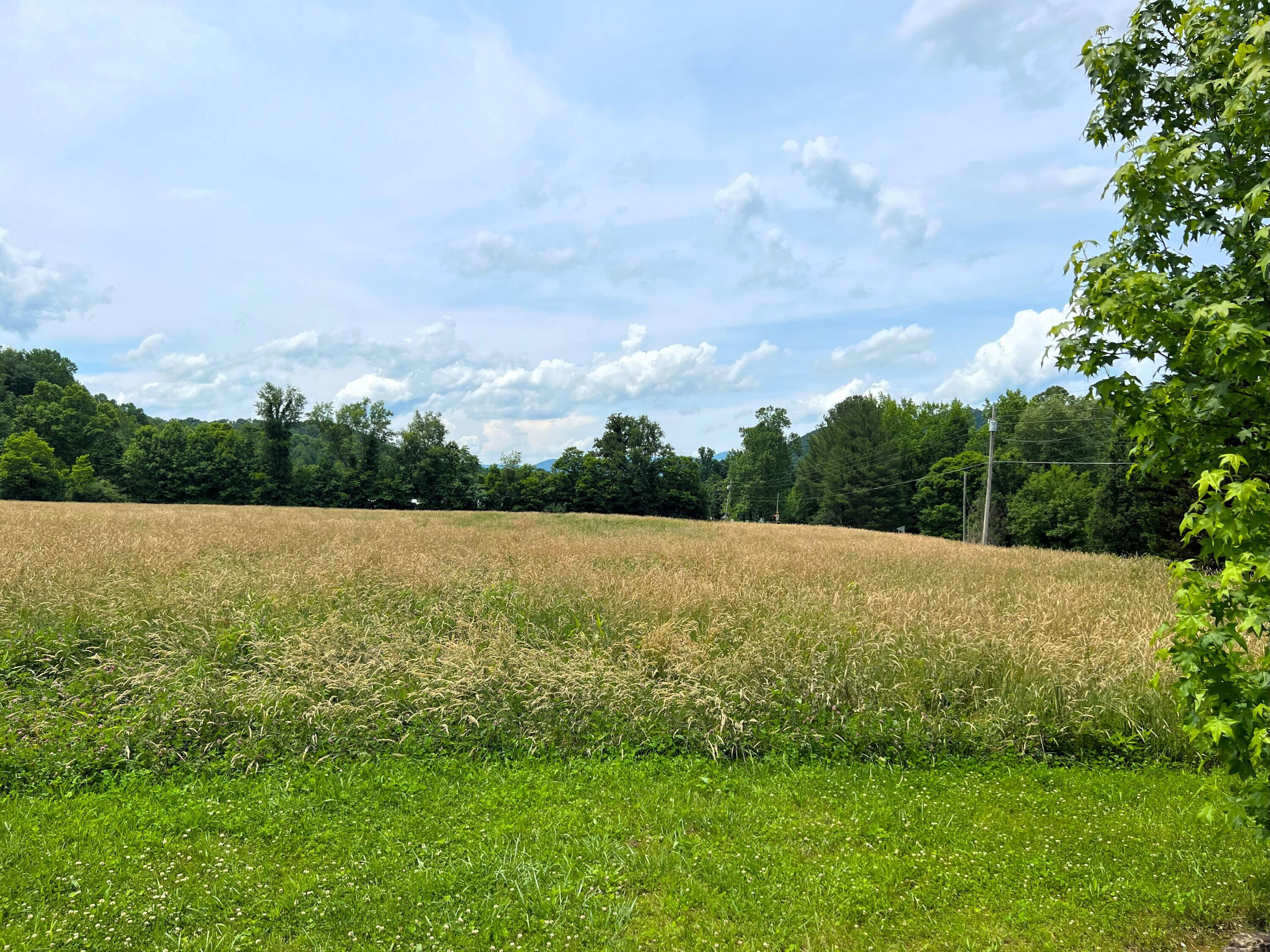 Par 130.01 S Highway 32 Cosby TN 37722