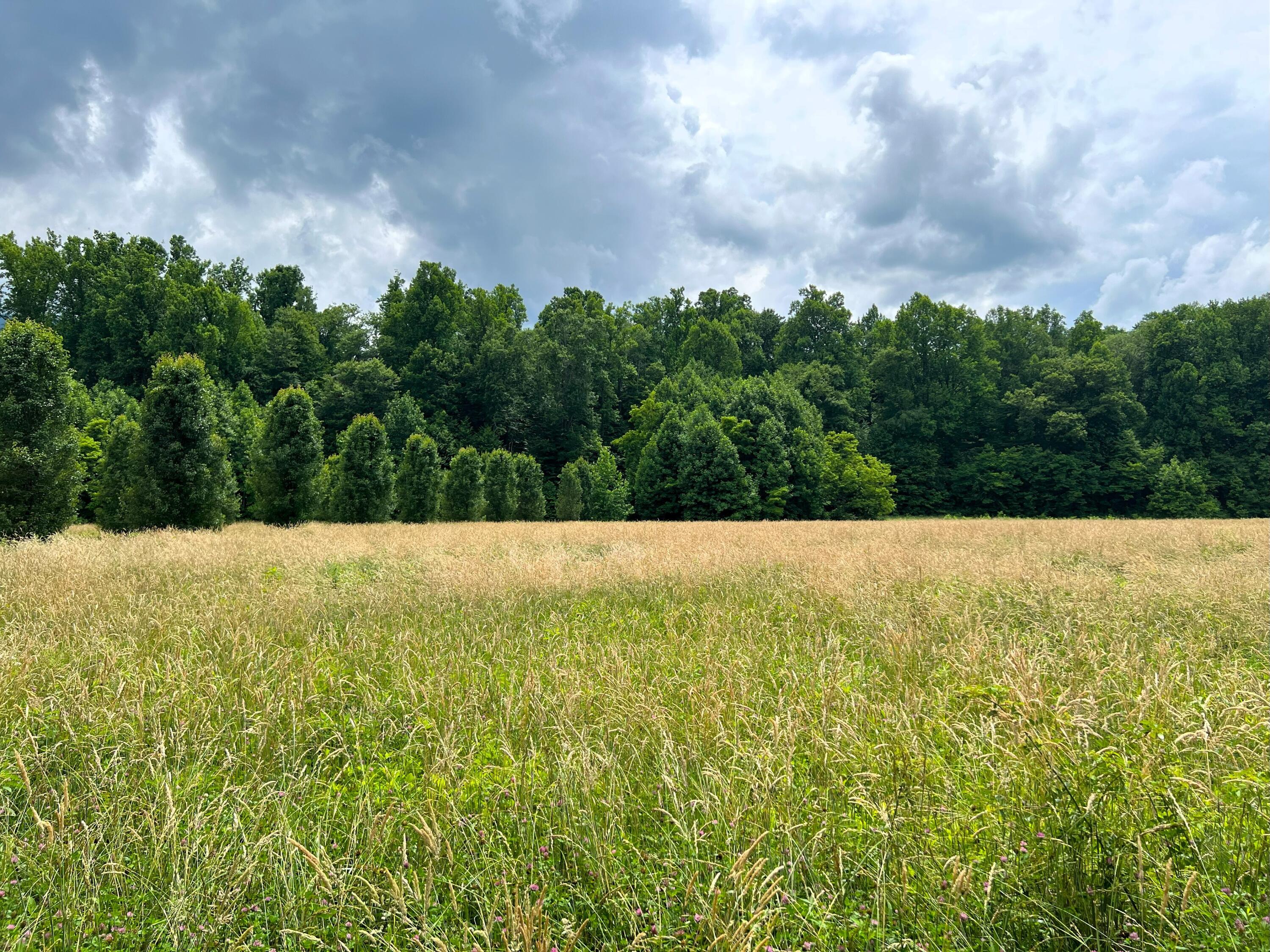 Par 130.01 S Highway 32 Cosby TN 37722