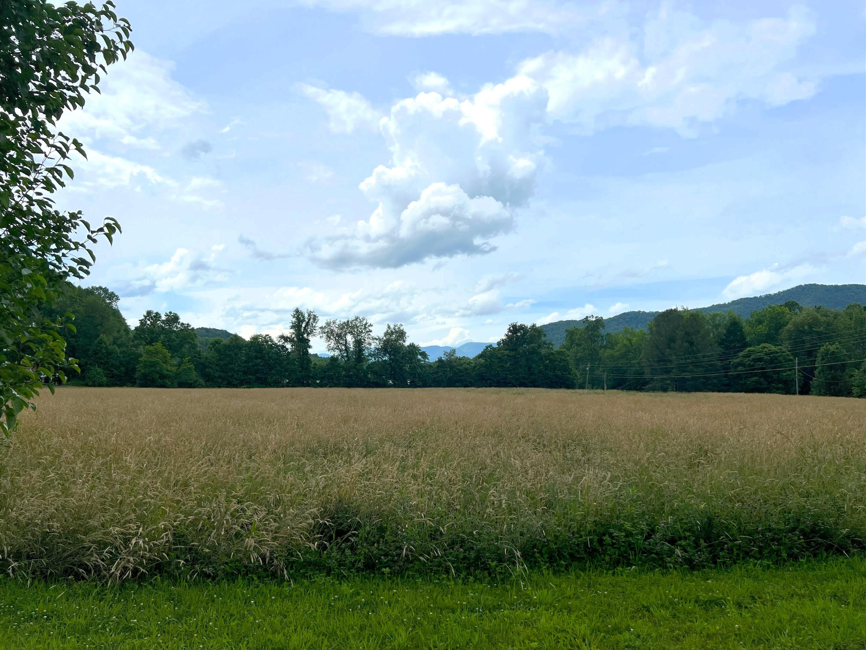 Par 130.01 S Highway 32 Cosby TN 37722