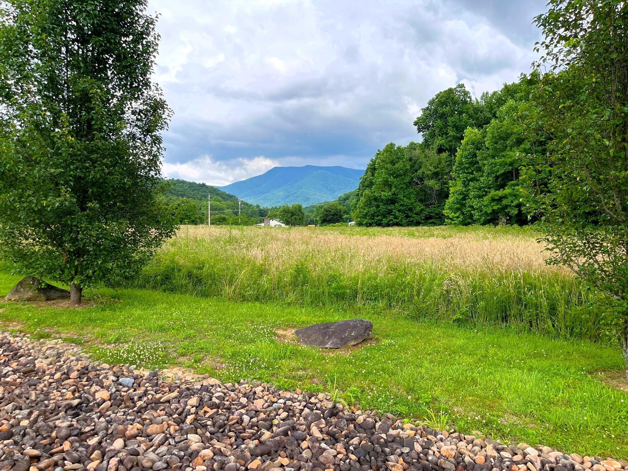 Par 130.01 S Highway 32 Cosby TN 37722