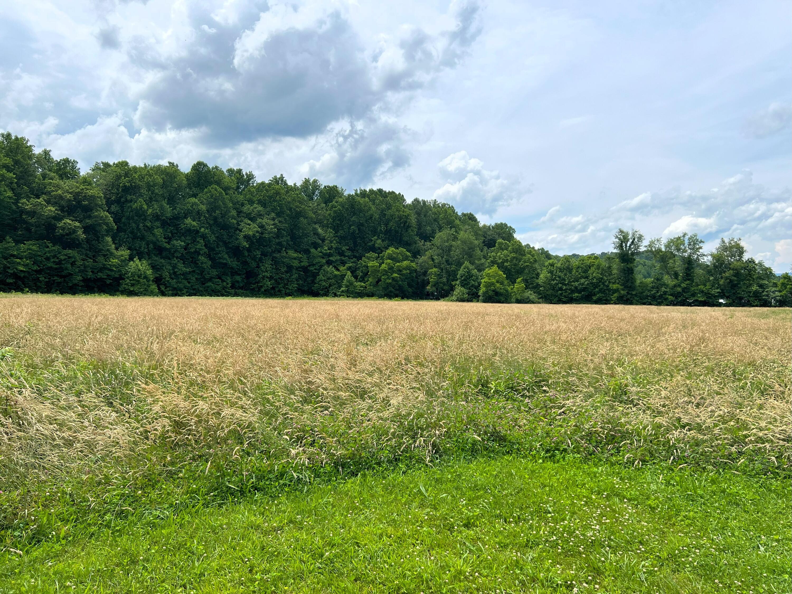 Par 130.01 S Highway 32 Cosby TN 37722