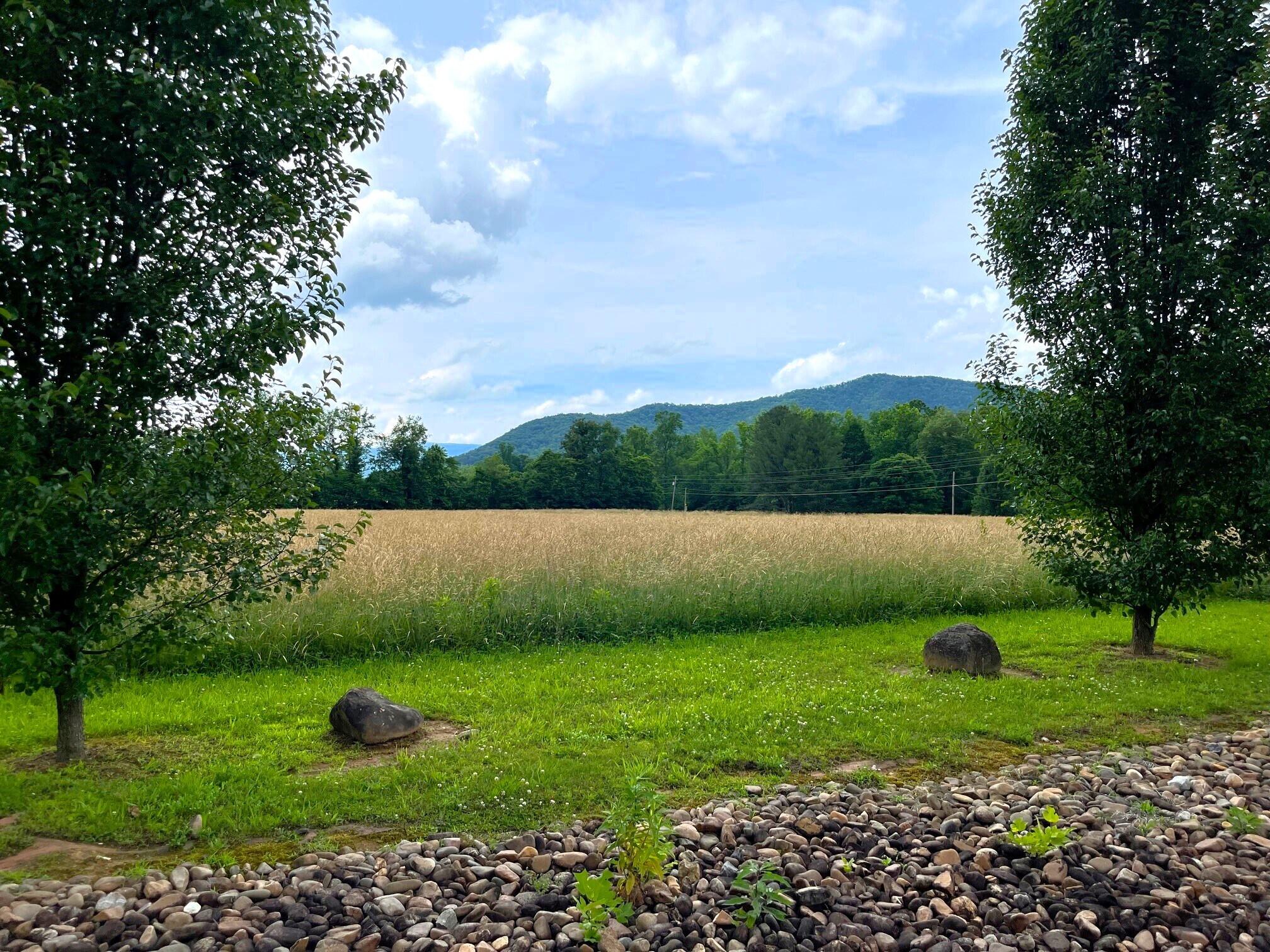 Par 130.01 S Highway 32 Cosby TN 37722