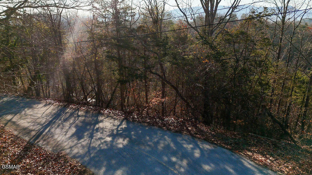 407 Jack Potts Drive Dandridge TN 37725