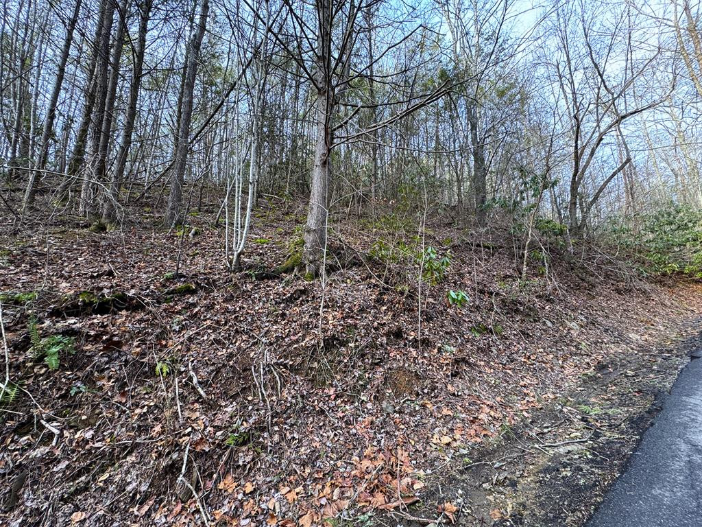 Lot 10 Black Gum Road Gatlinburg TN 37738