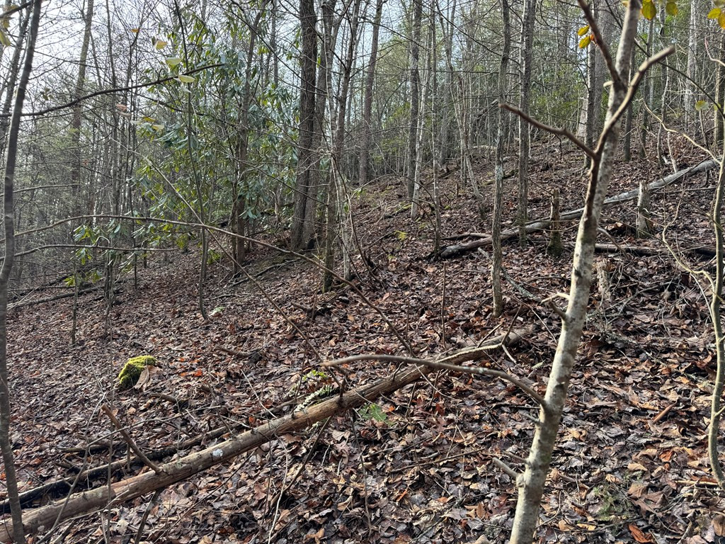 Lot 10 Black Gum Road Gatlinburg TN 37738