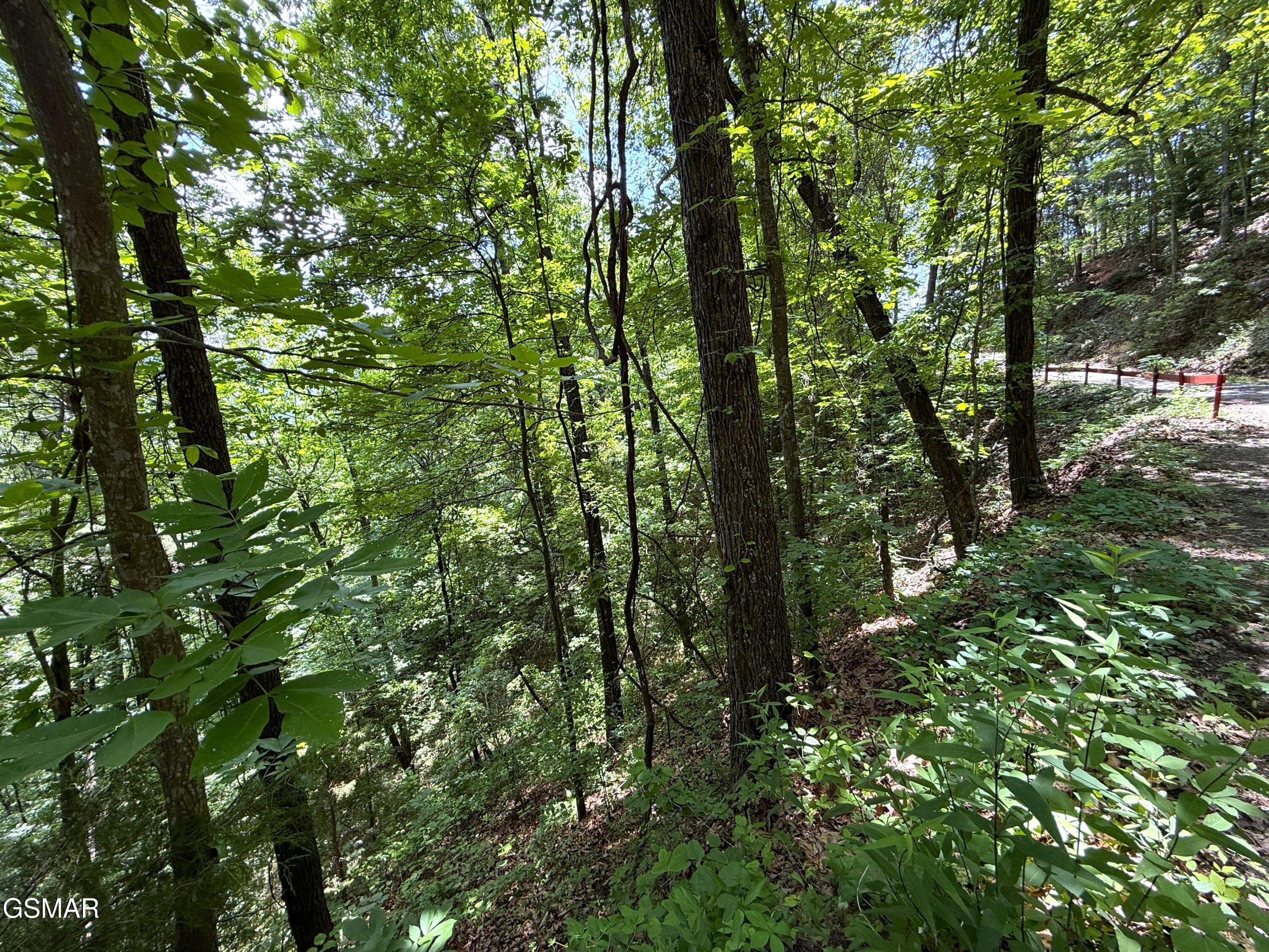 Lot 23 Aintree Drive Sevierville TN 37876
