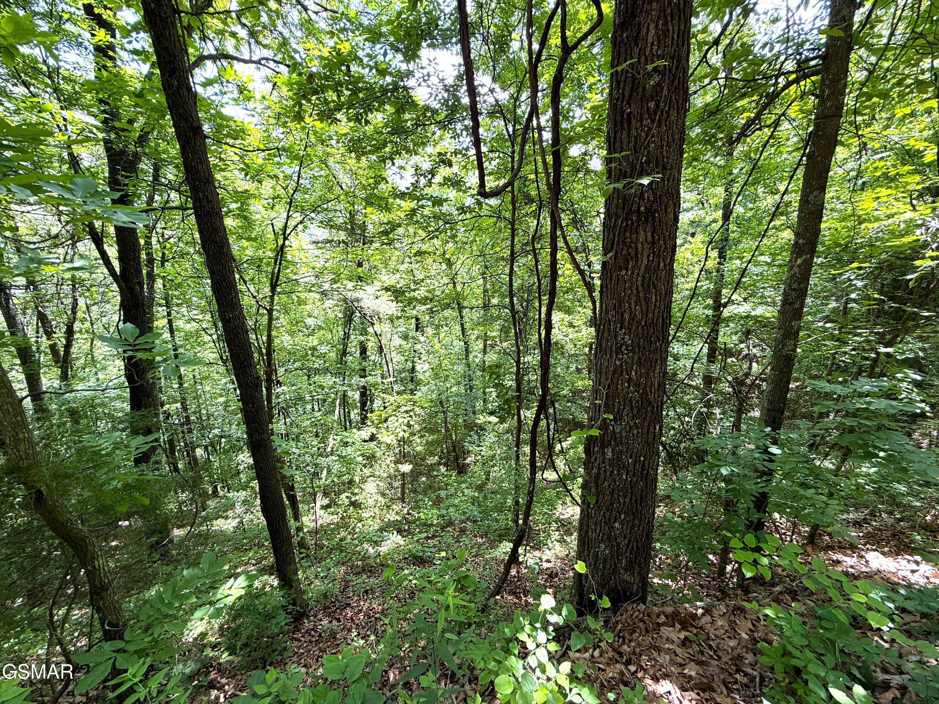 Lot 23 Aintree Drive Sevierville TN 37876